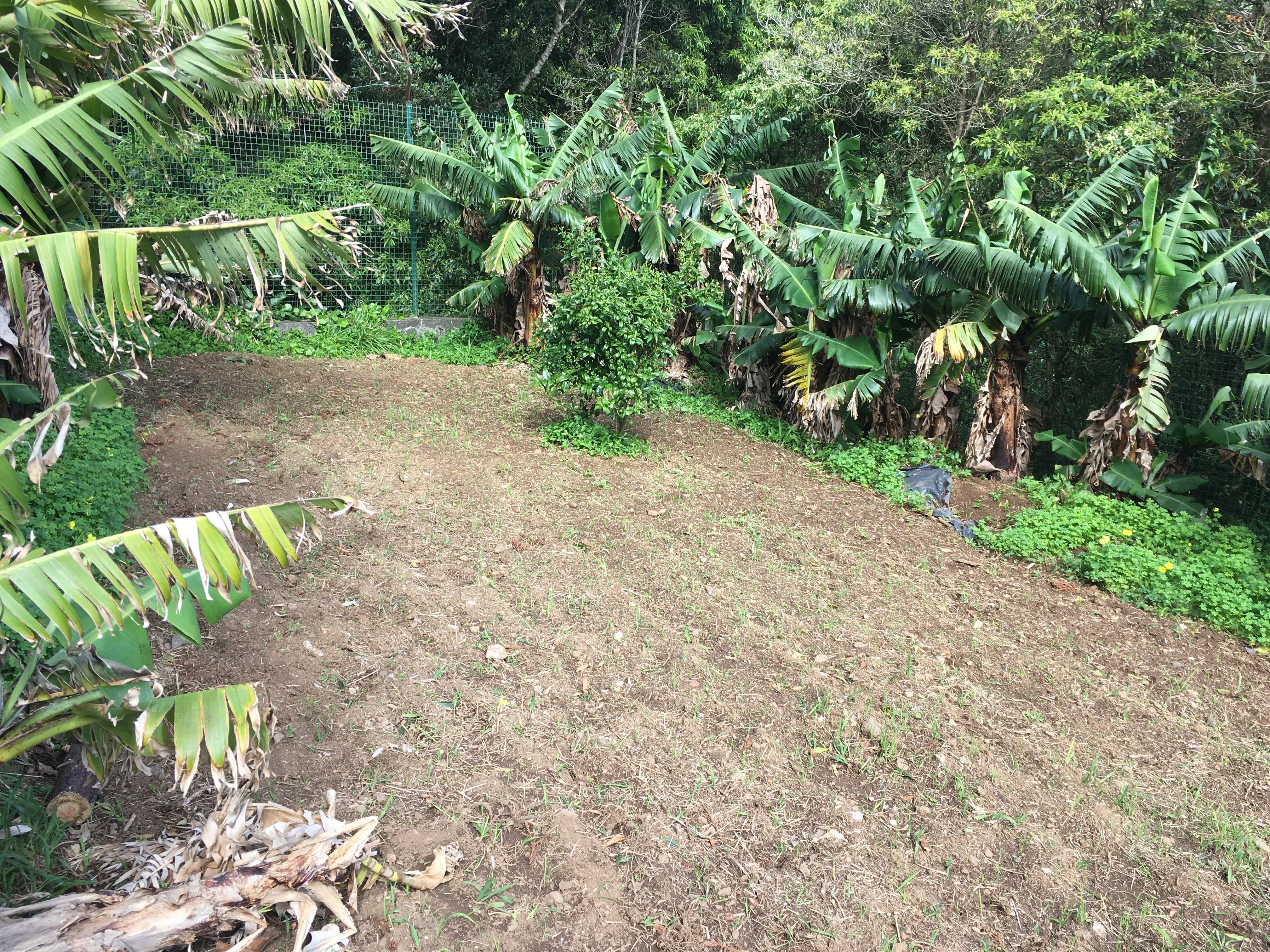 Espaço mobilizado com Tangerineira