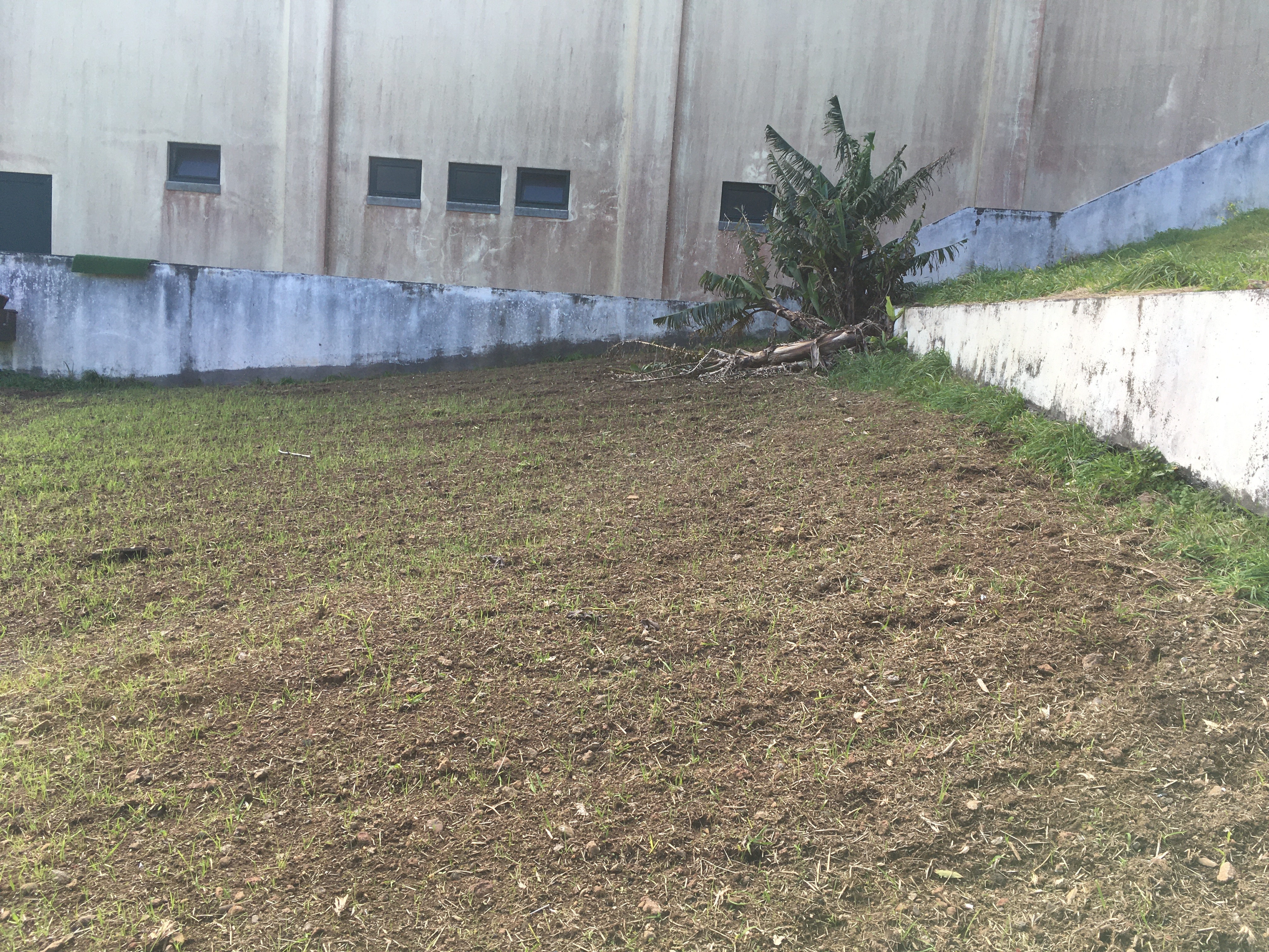 Espaço Mobilizado 
Numa fase inicial, procedeu-se à mobilização do solo, tarefa generosamente realizada pelo avô de um aluno durante um fim de semana.