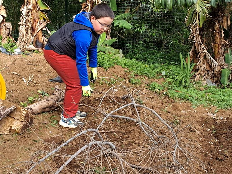 Proteção das aves da sementeira de ervilhas. 
Foi no final de março, antes da interrupção  da Páscoa que fizemos sementeiras de leguminosas (feijão, ervilhas e favas) e sementeira de abóboras/pepinos.