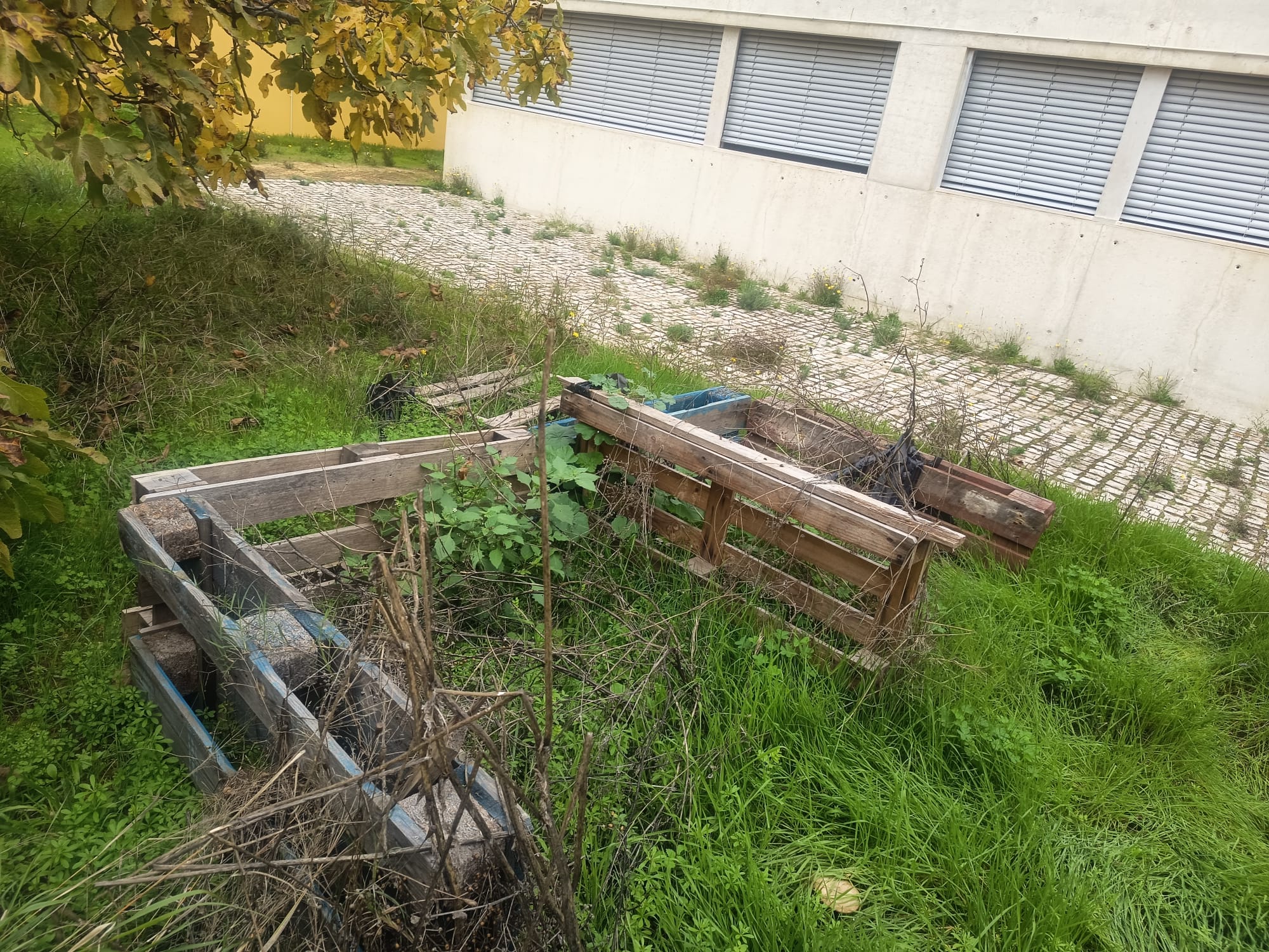 Horta vertical a ser recuperada