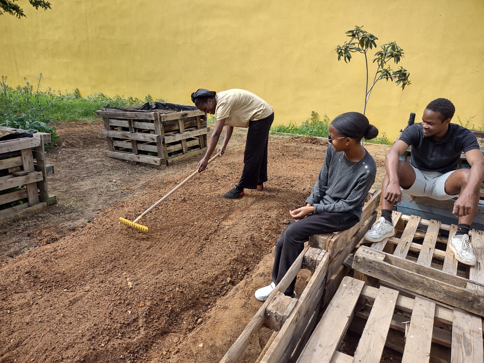 Preparação do terreno