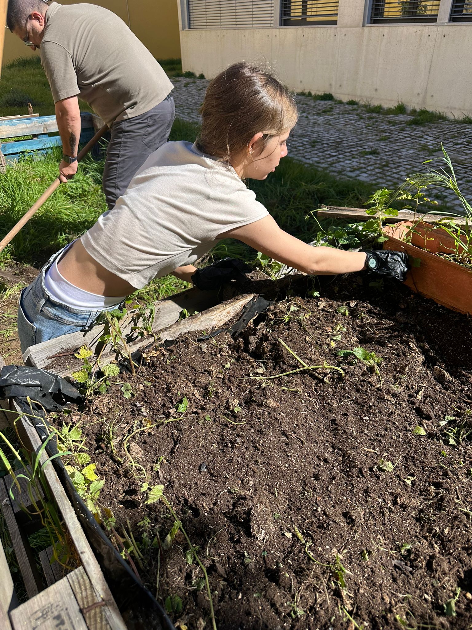 Limpeza da terra- escolha de ervas daninhas