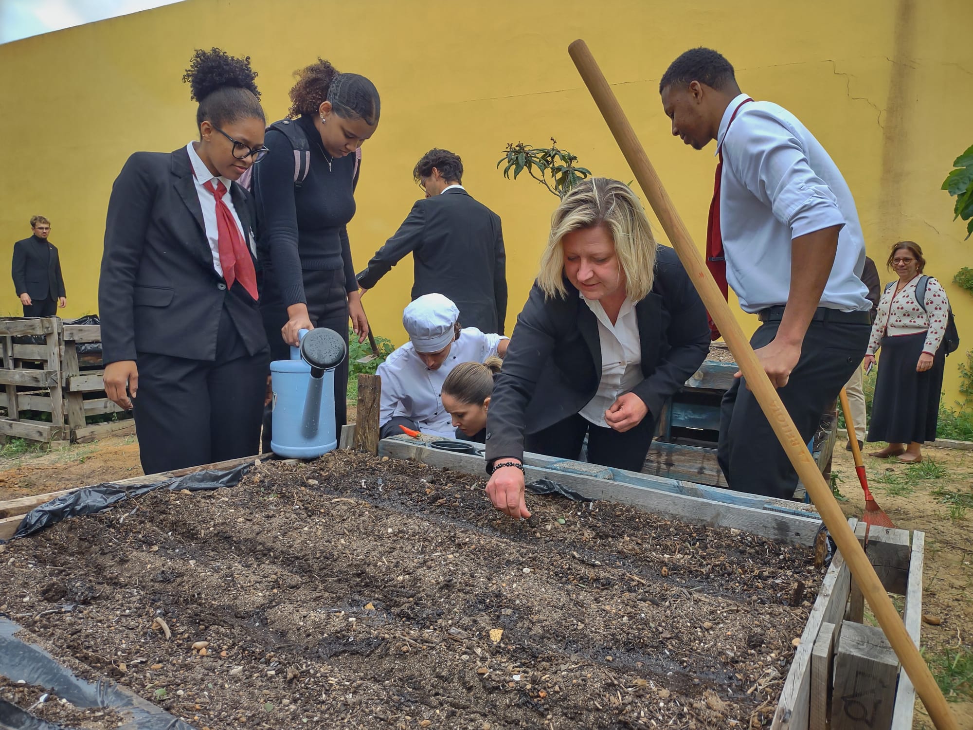 Sementeira piri-piri e rabanetes