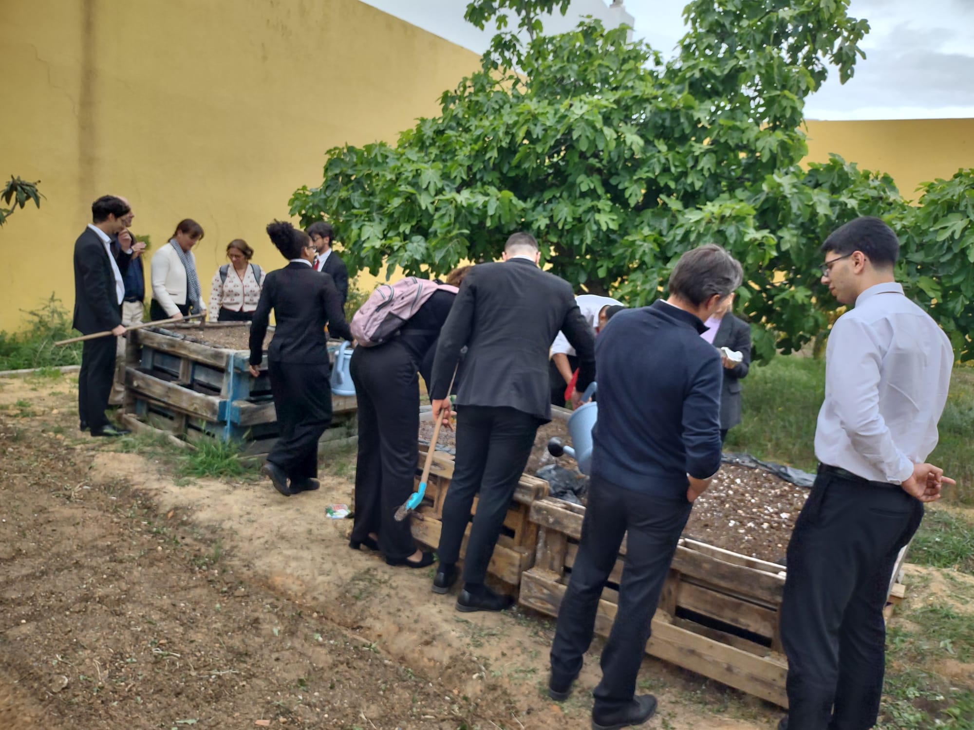 Rega das sementeiras