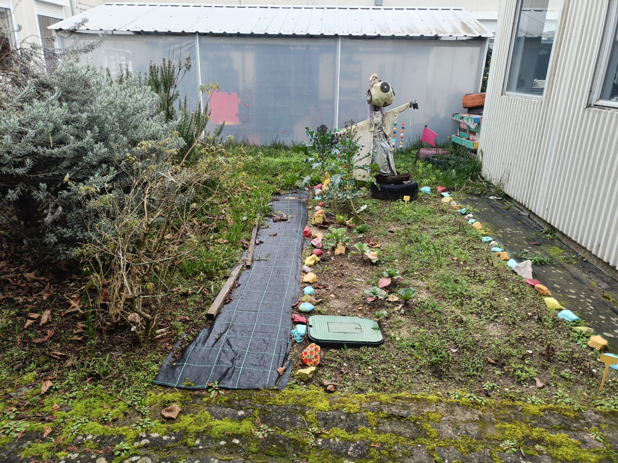 Espaço da horta com o espantalho já bastante danificado. Aqui ainda restam algumas couves das plantações do ano anterior.