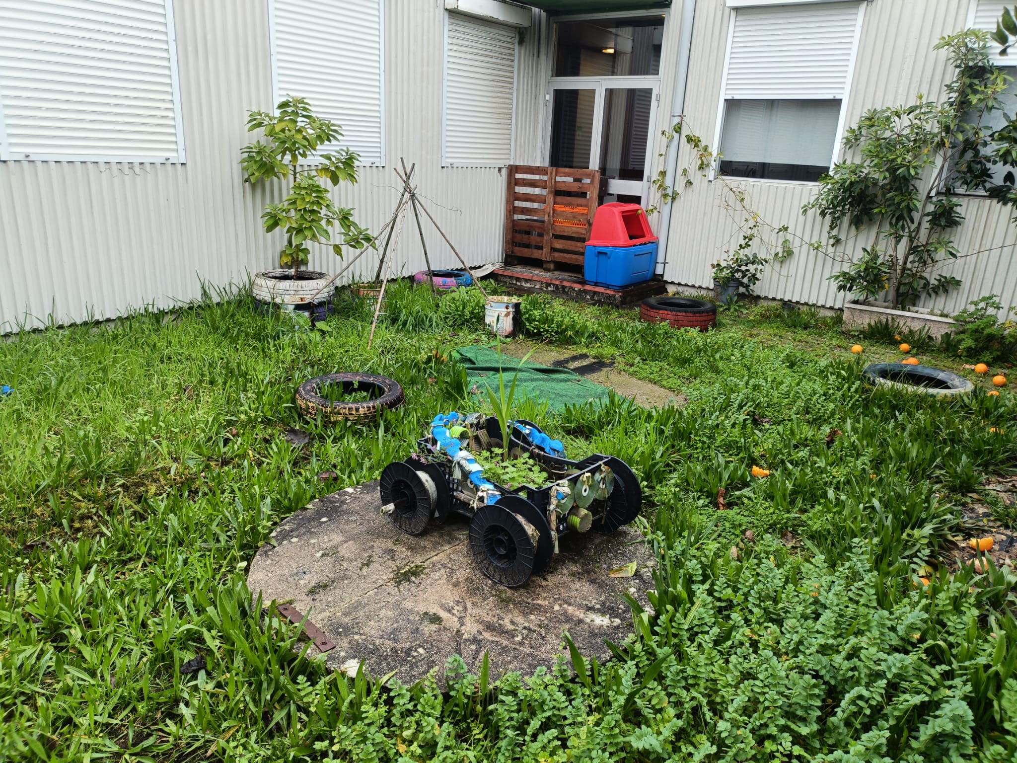 Espaço da horta com necessidade de manutenção.