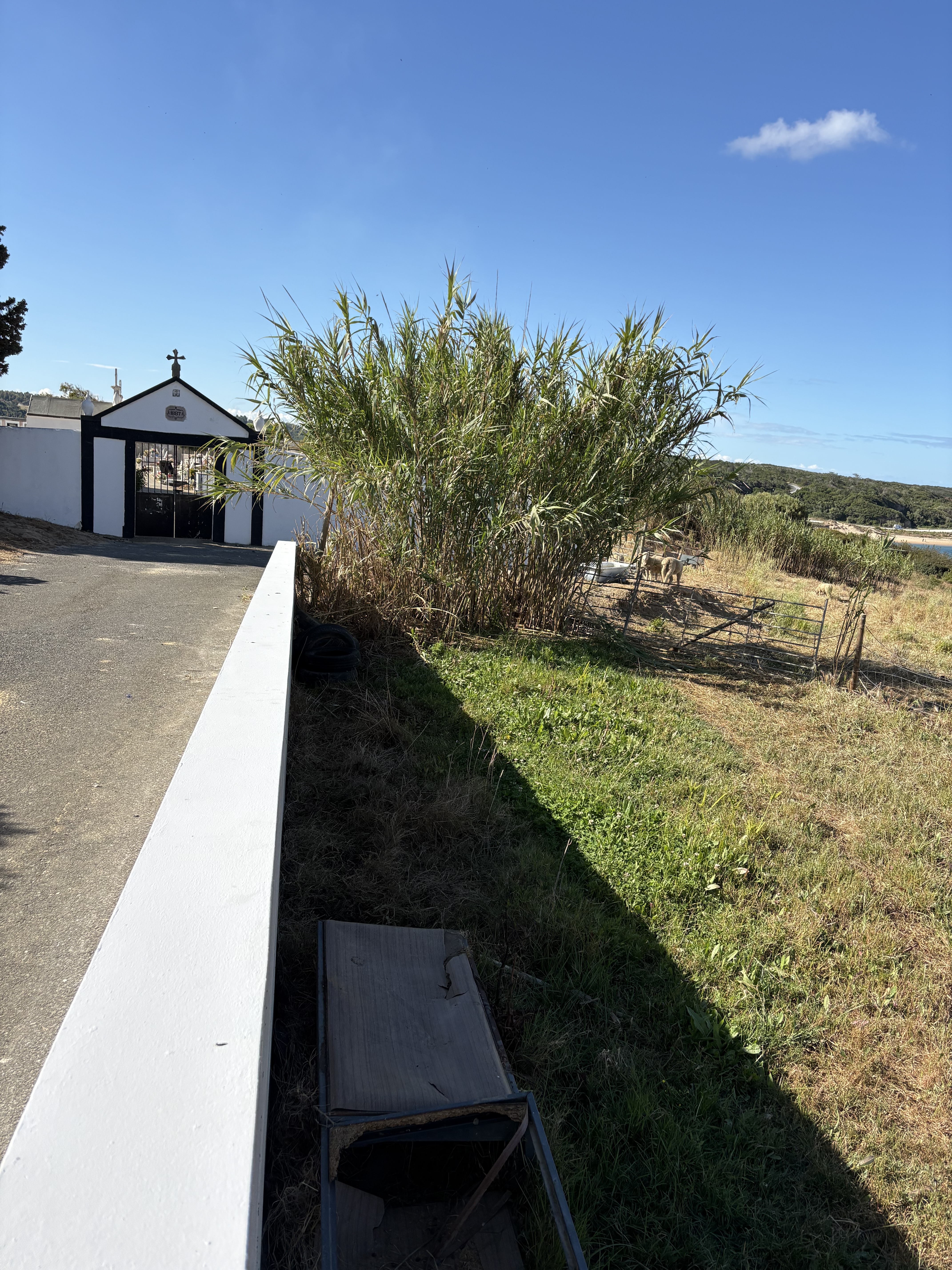 Espaço para o cultivo da horta.