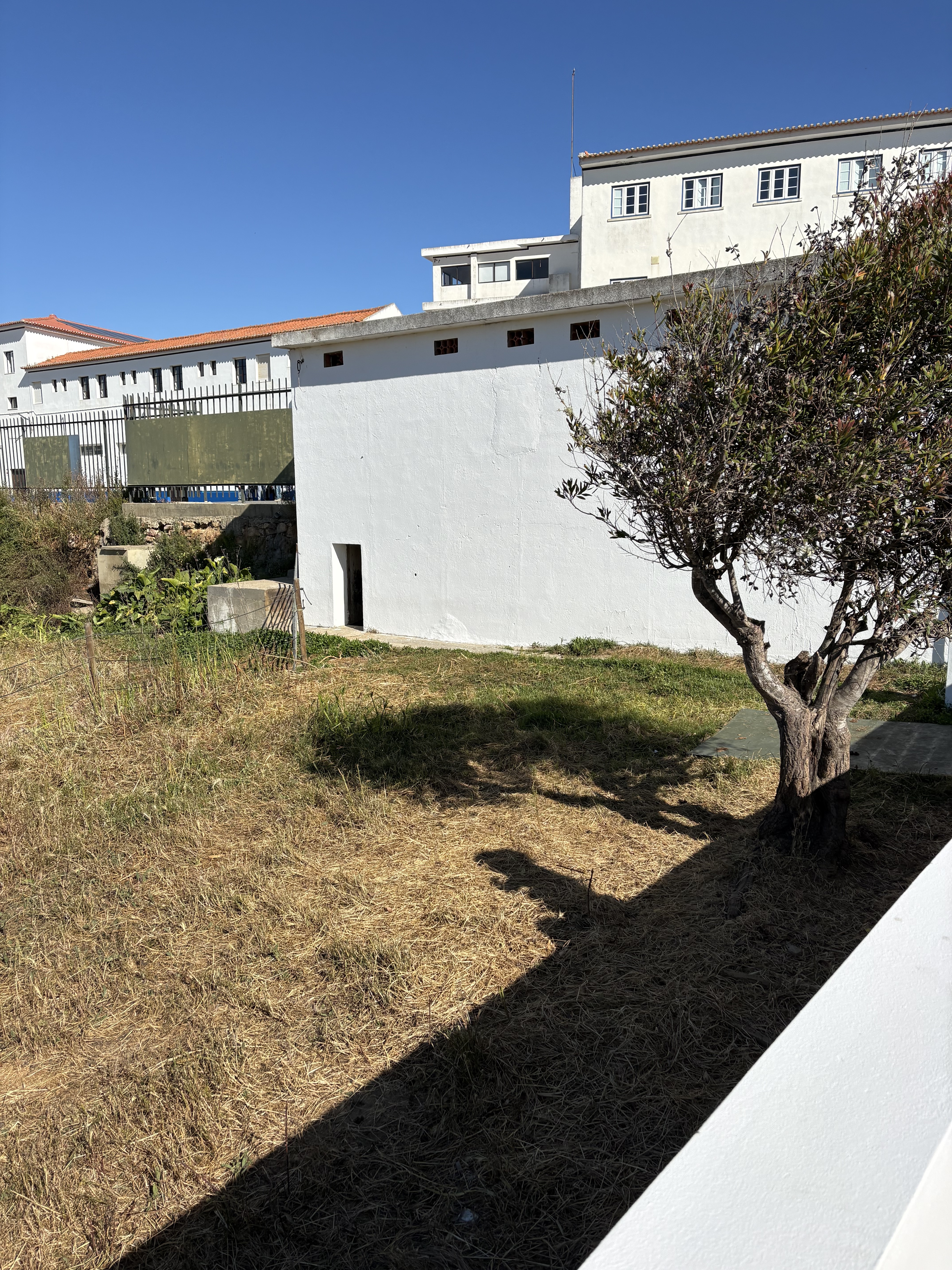 Espaço para o cultivo da horta.