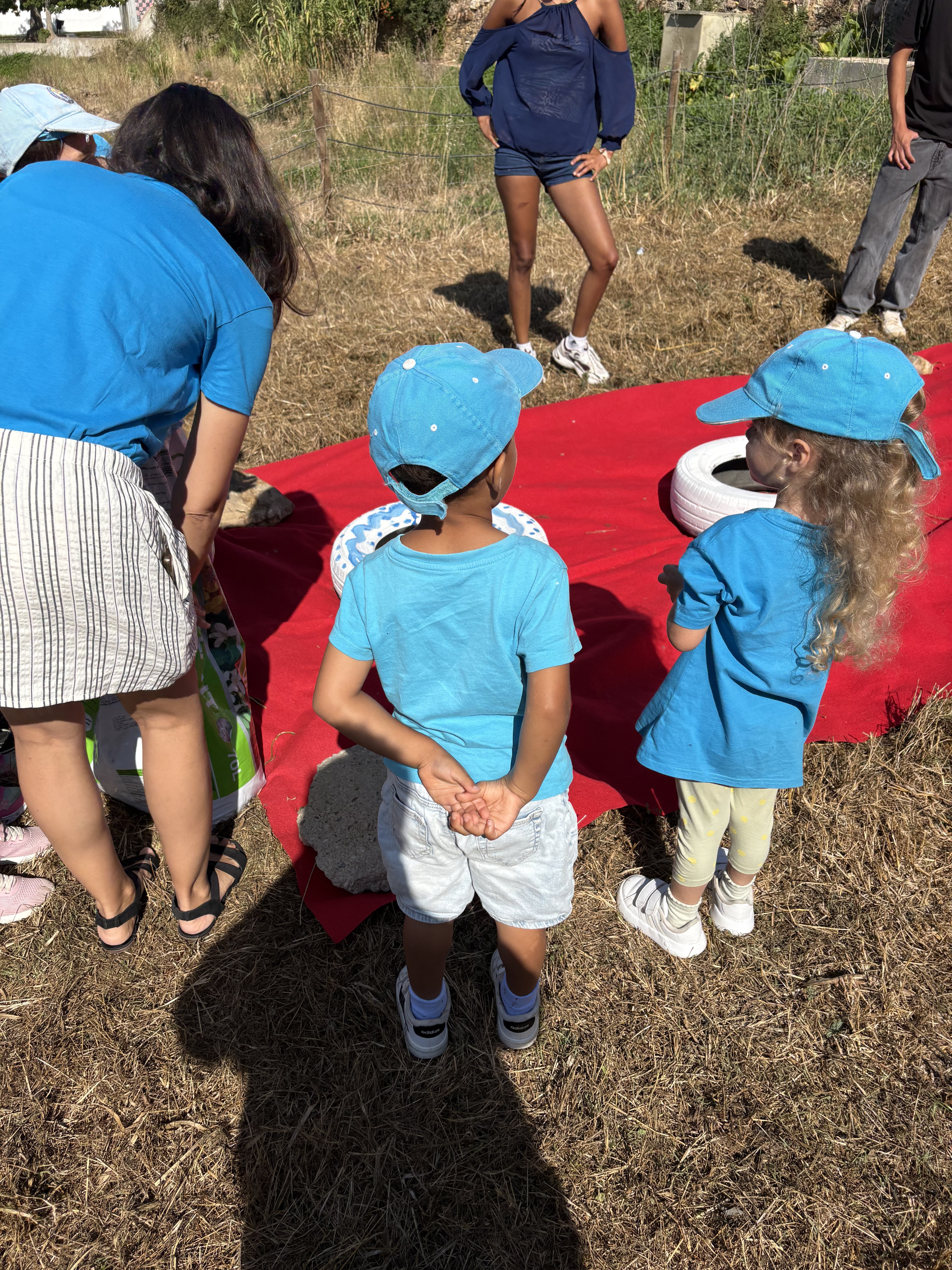 Enchimento dos pneus com terra fertilizante e plantação das sementes.
