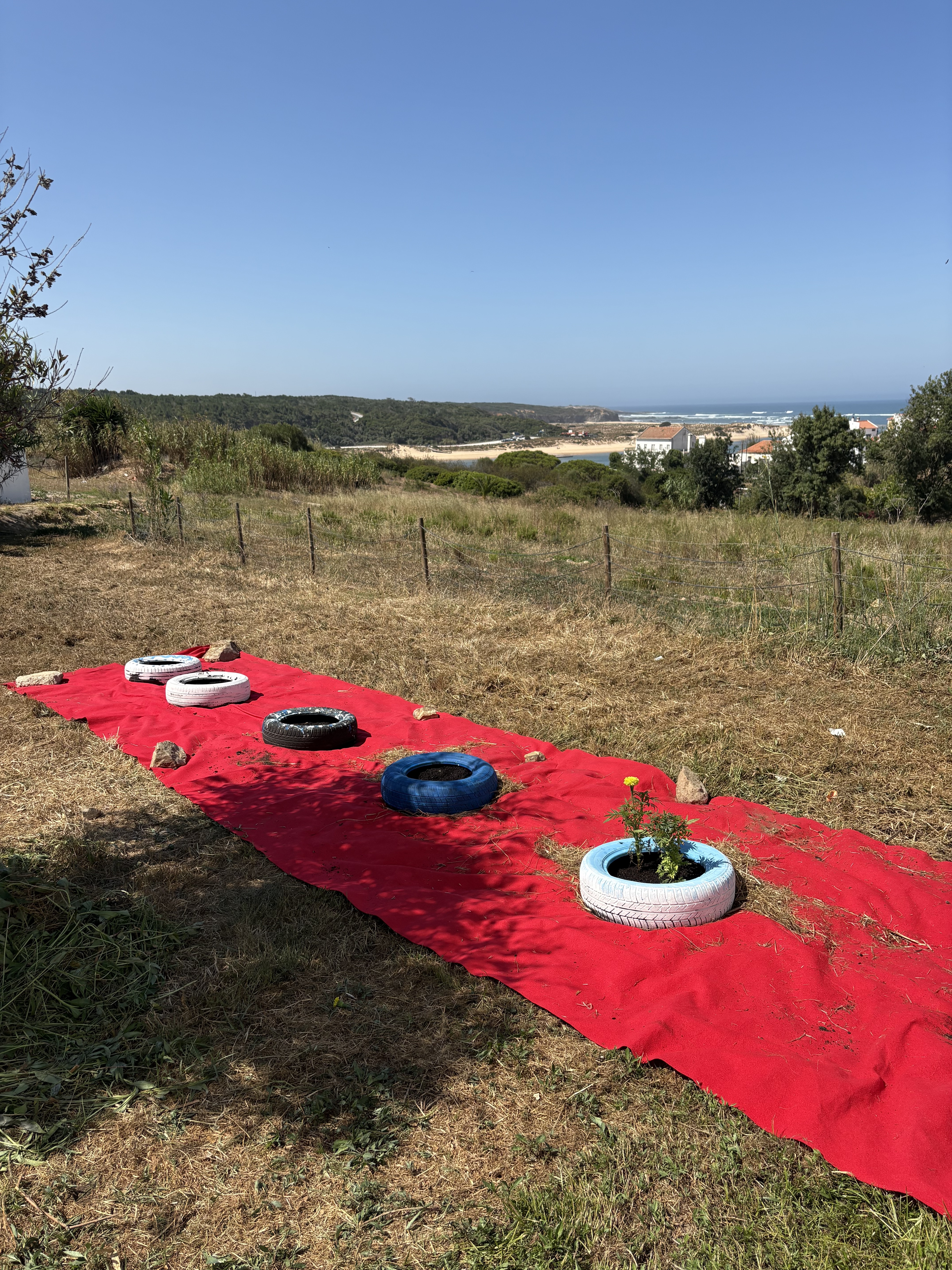 Enchimento dos pneus com terra fertilizante e plantação das sementes.