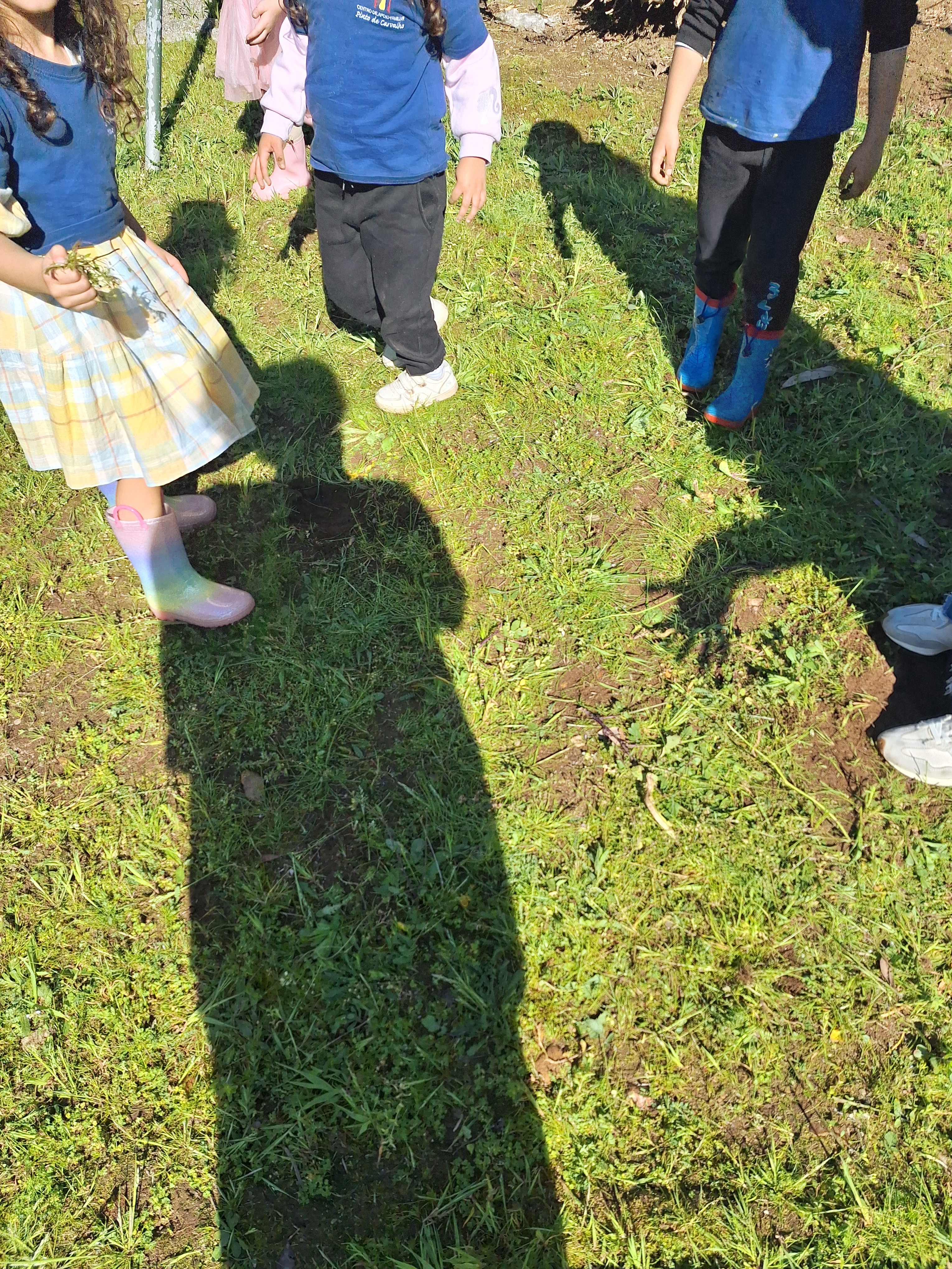Num dos únicos dias de sol em fevereiro conseguimos ir até a Horta e limpar algumas ervas.
