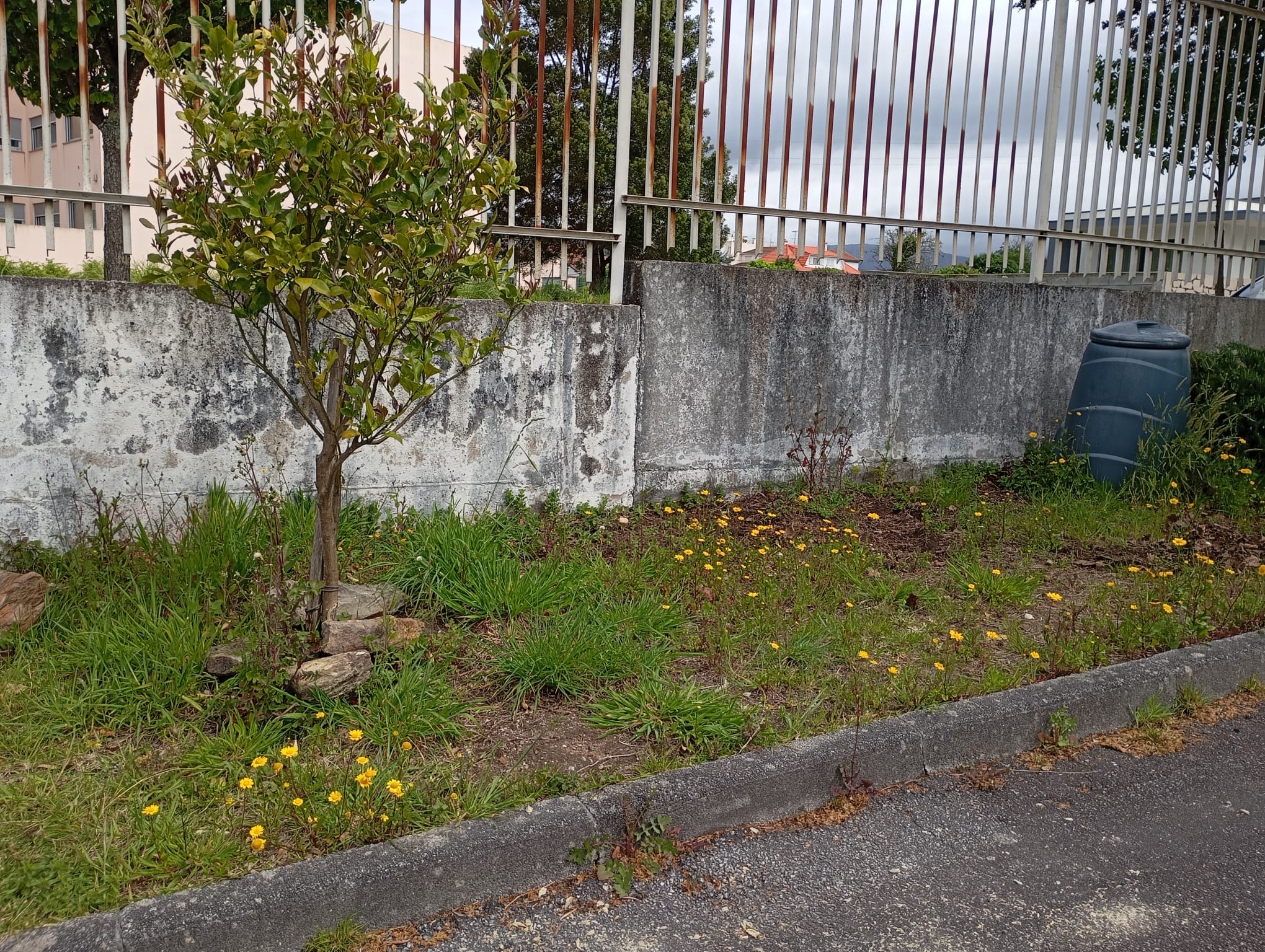 A ocorrência contínua de chuva intensa provocou o encharcamento do solo, dificultando o acesso ao espaço e inviabilizando a realização das tarefas inicialmente previstas.
