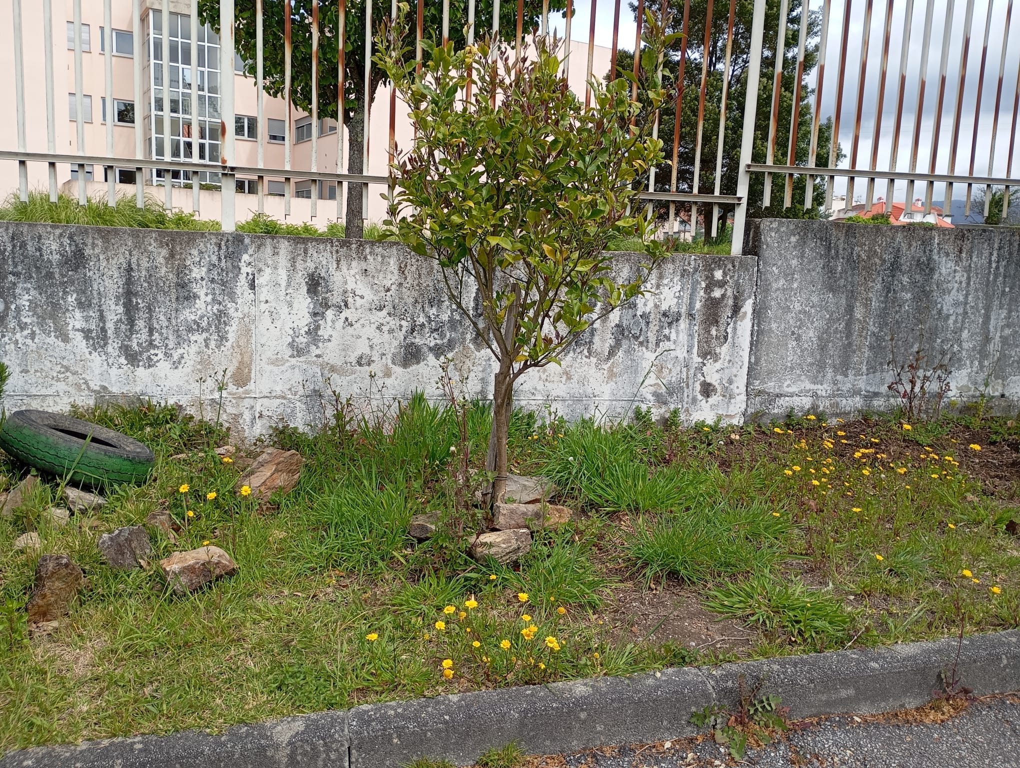 Perante estas limitações, todas as atividades tiveram de ser temporariamente suspensas, ficando dependentes de uma melhoria das condições climatéricas que permita retomar os trabalhos em condições de segurança e eficiência.