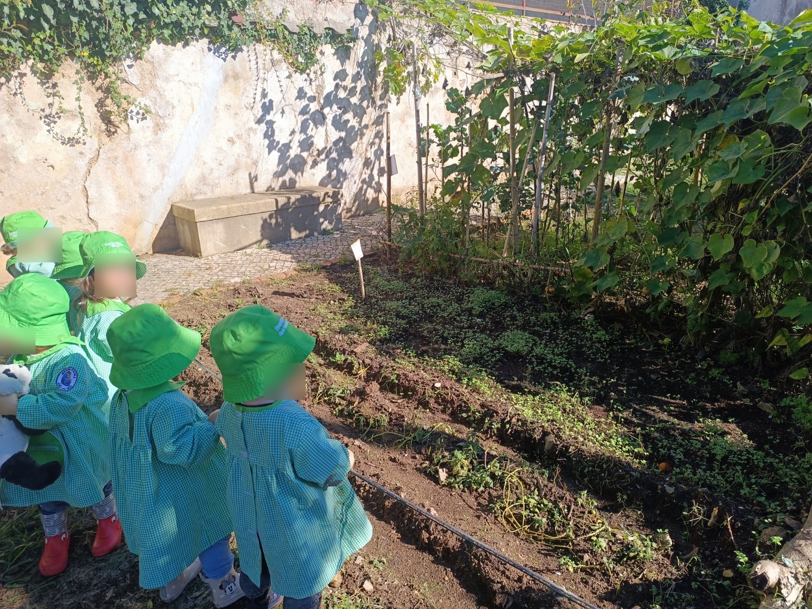 Após uma semana... vejam como cresceram!