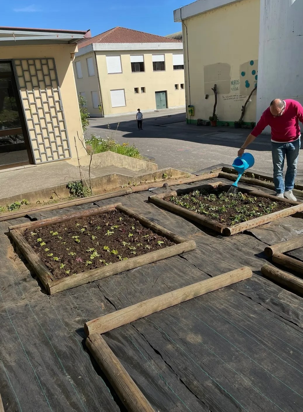 Primeiras plantas!