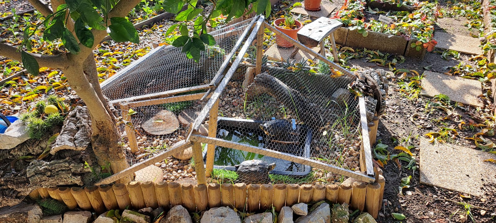 Hotel das tartarugas