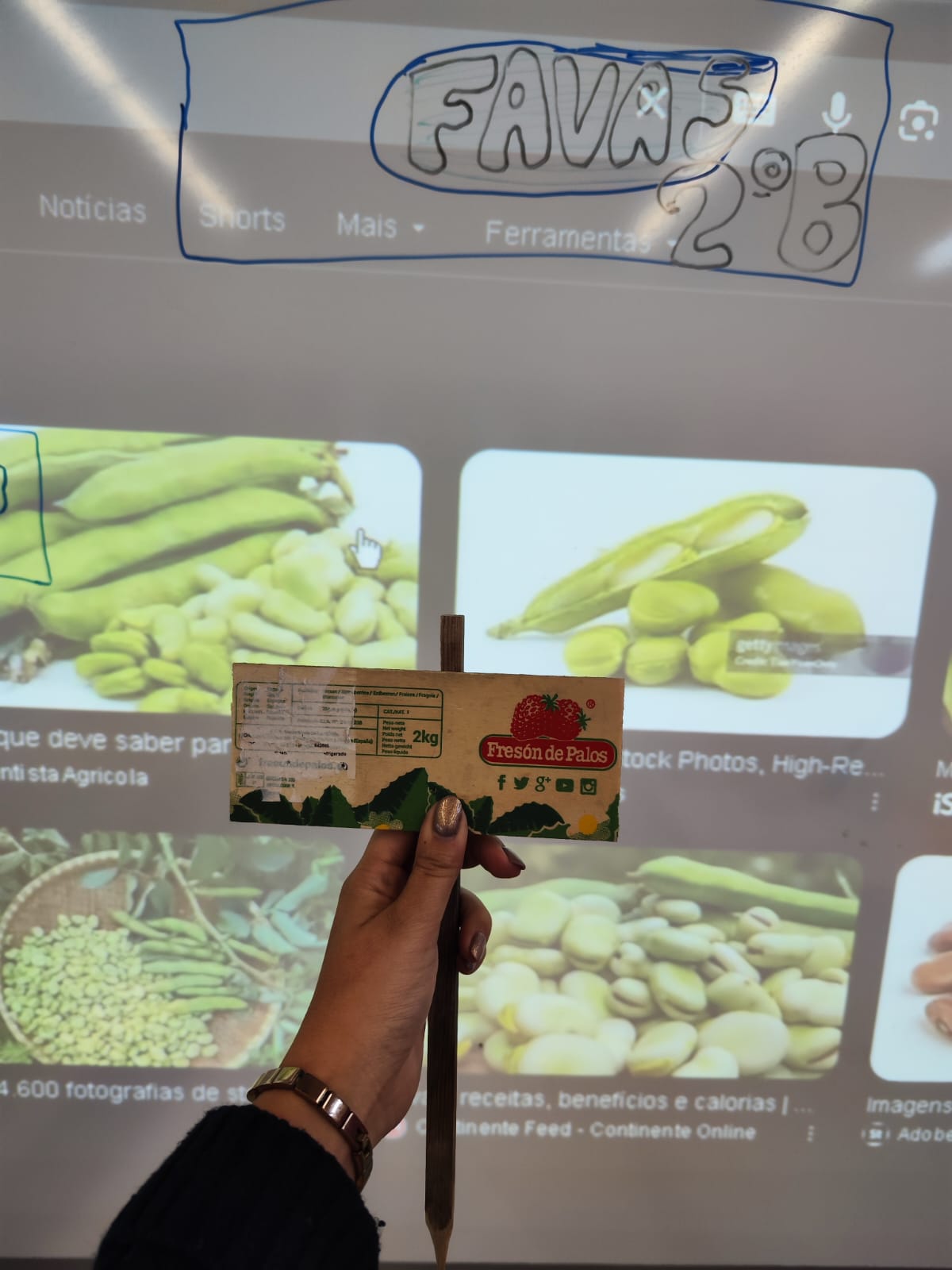 Placas de identificação das culturas.