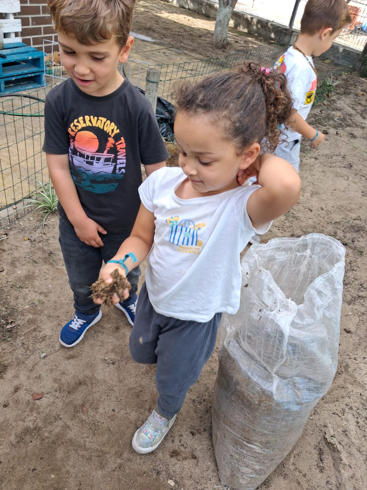 Manutenção do espaço da horta.