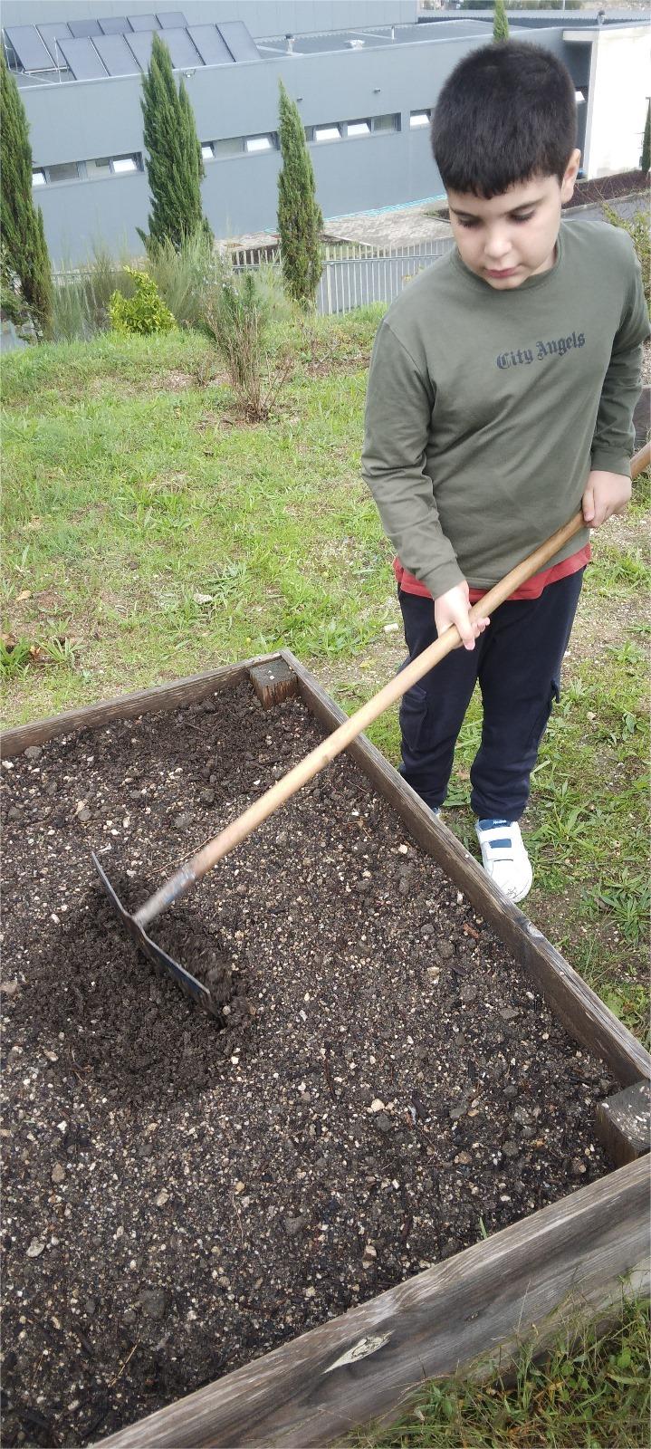 Os nossos alunos da Educação Especial participaram ativamente na preparação da terra para a sementeira das beterrabas. Esta atividade envolveu a limpeza do solo, a sua mobilização e a preparação adequada para receber as sementes.