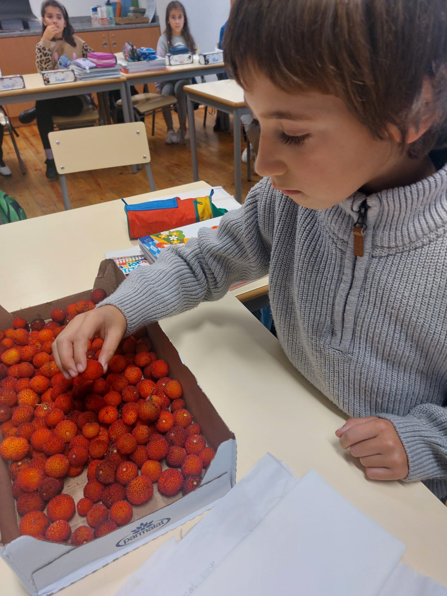 Os medronhos foram distribuídos pelos alunos da turma.