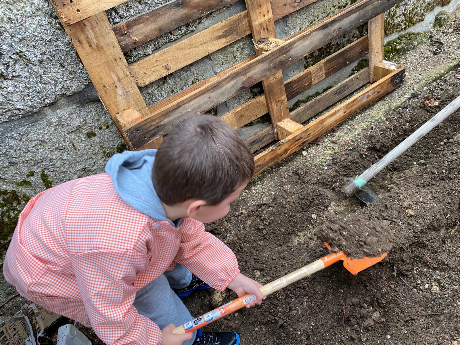 Preparação do solo
Neste momento, o solo foi preparado para receber novas sementeiras/ plantações.