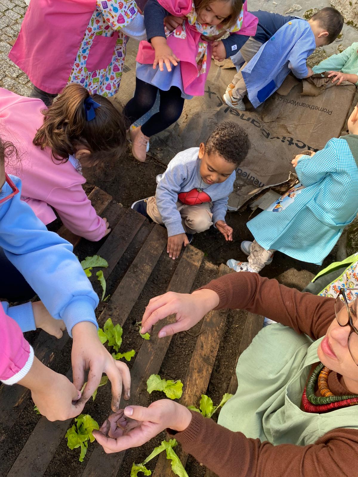 Plantação de alfaces
Os alunos, em trabalho de equipa, plantaram alfaces na horta.
