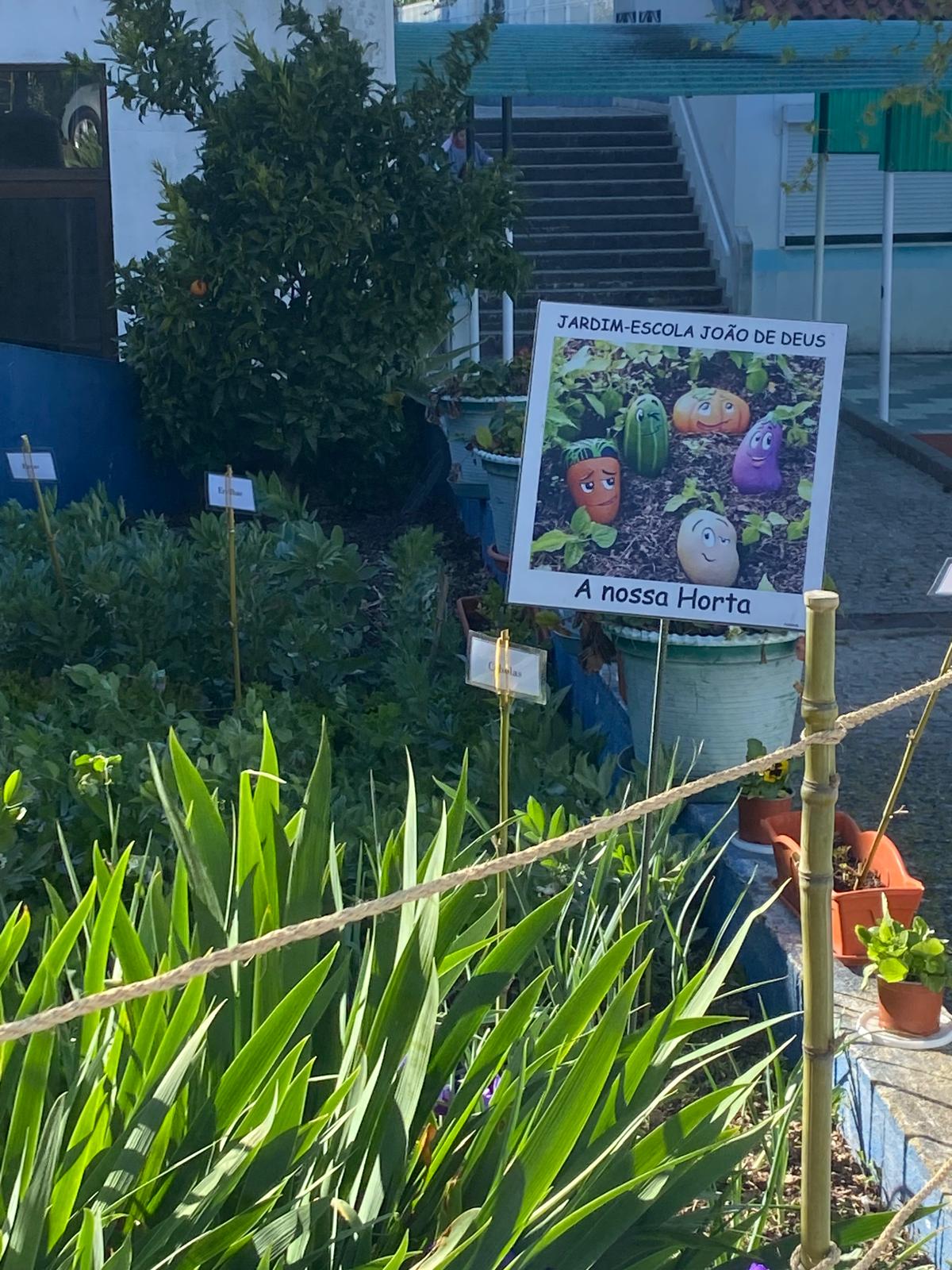 A nossa horta tem flores e árvores de fruto (macieira e tangerineira).