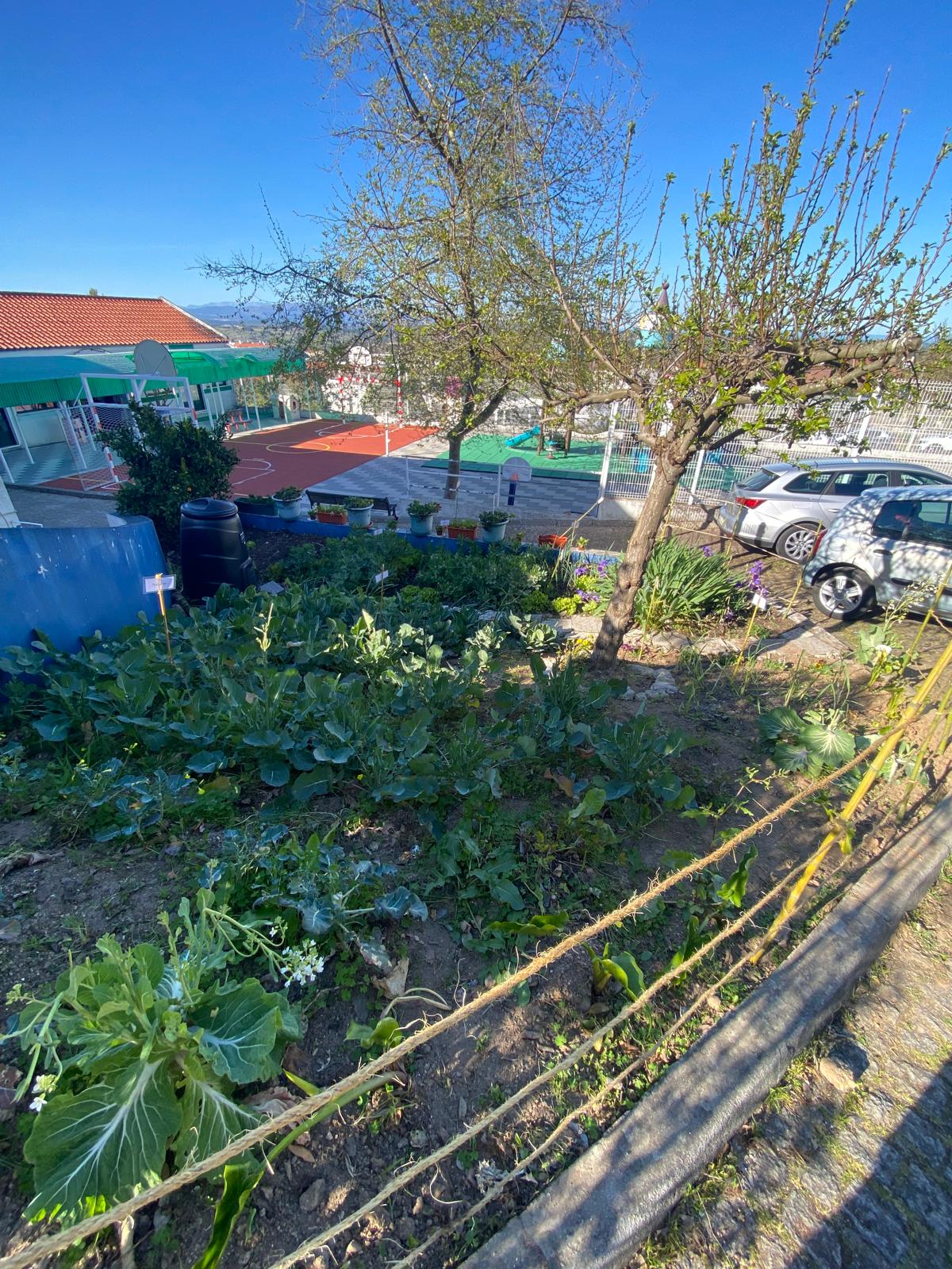 Visão geral da horta