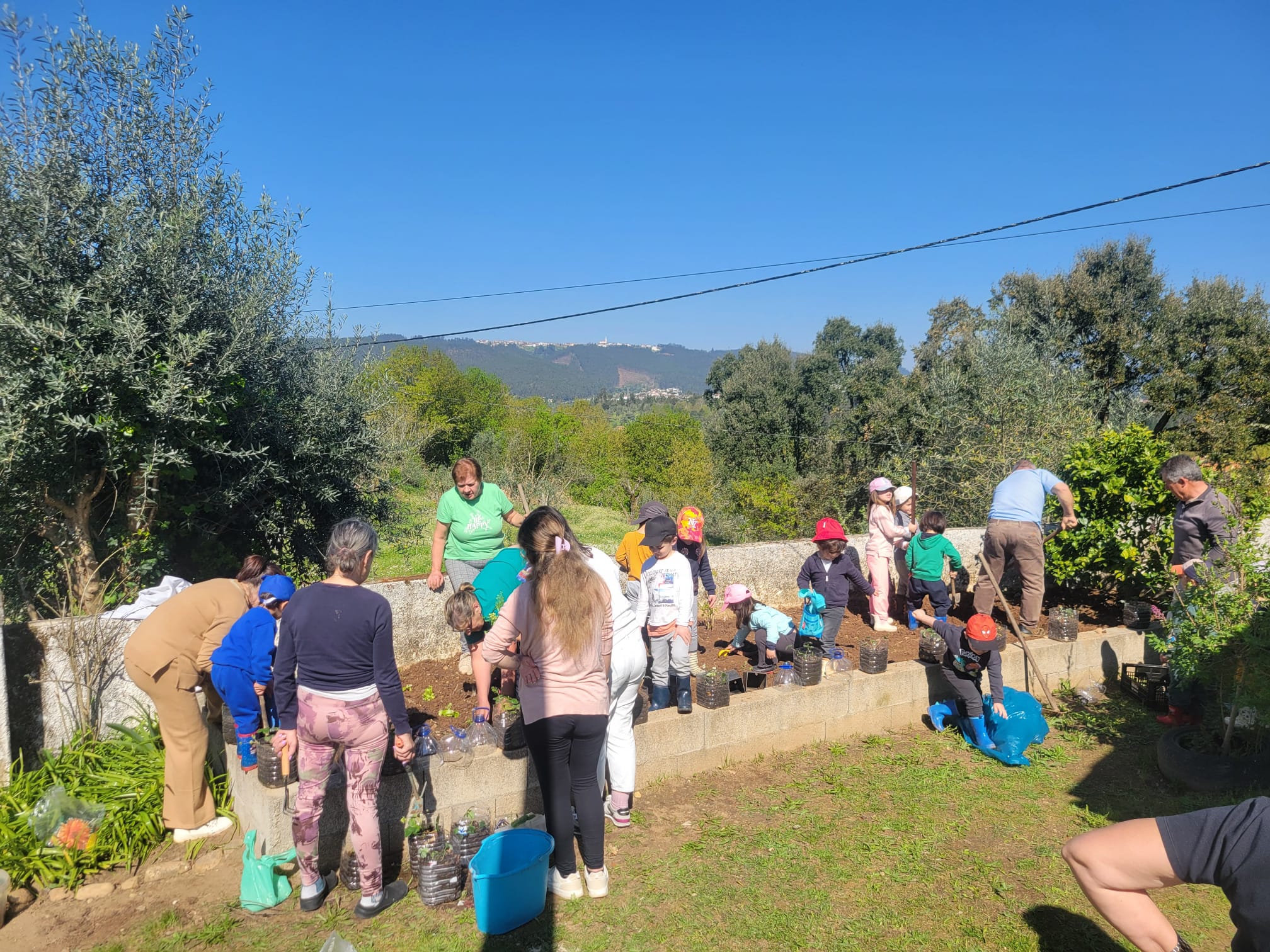 Desenvolvimento da horta com a participação da família - plantações.