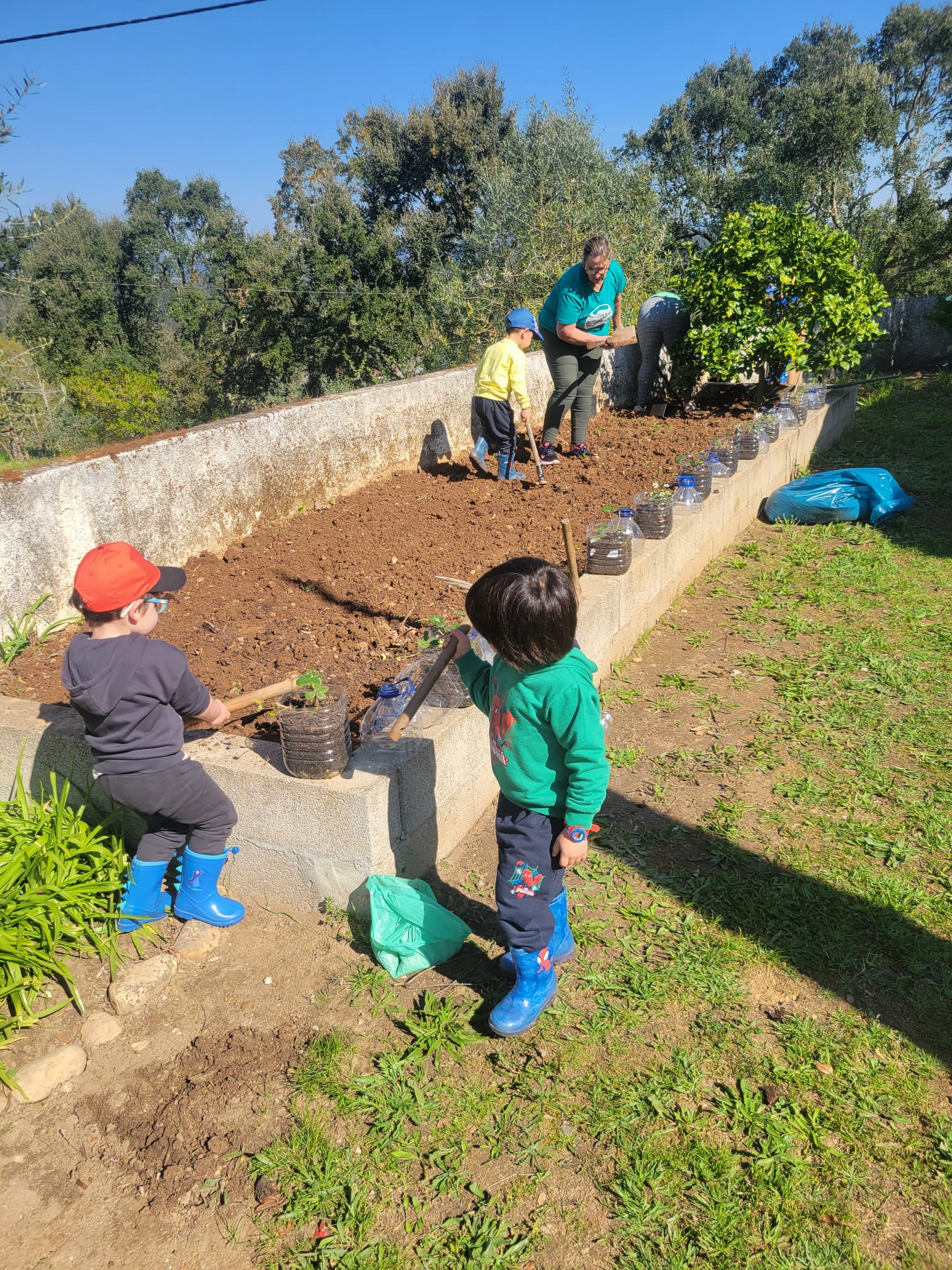Desenvolvimento da horta com a participação da família - plantações.