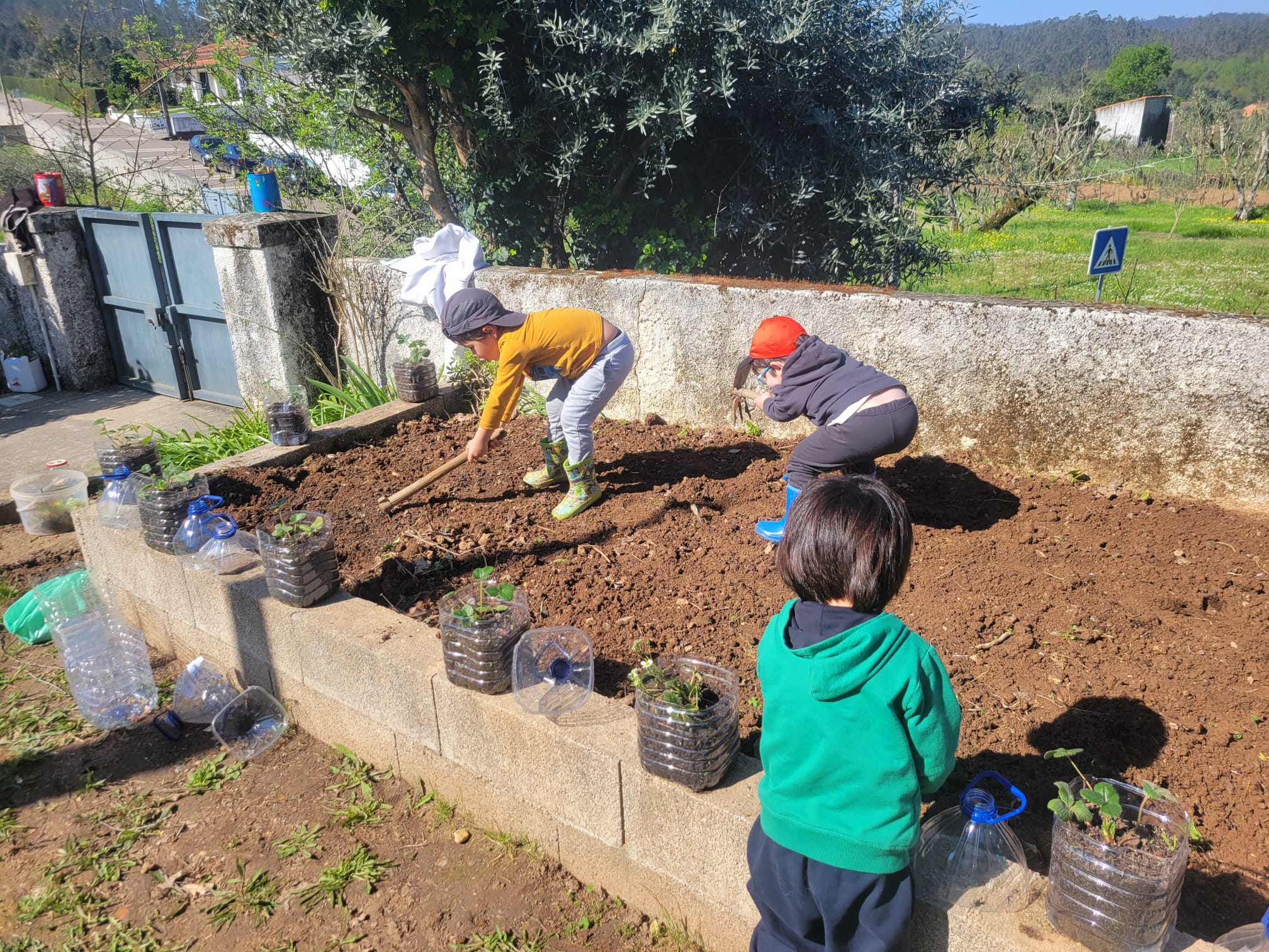 Desenvolvimento da horta com a participação da família - plantações.
