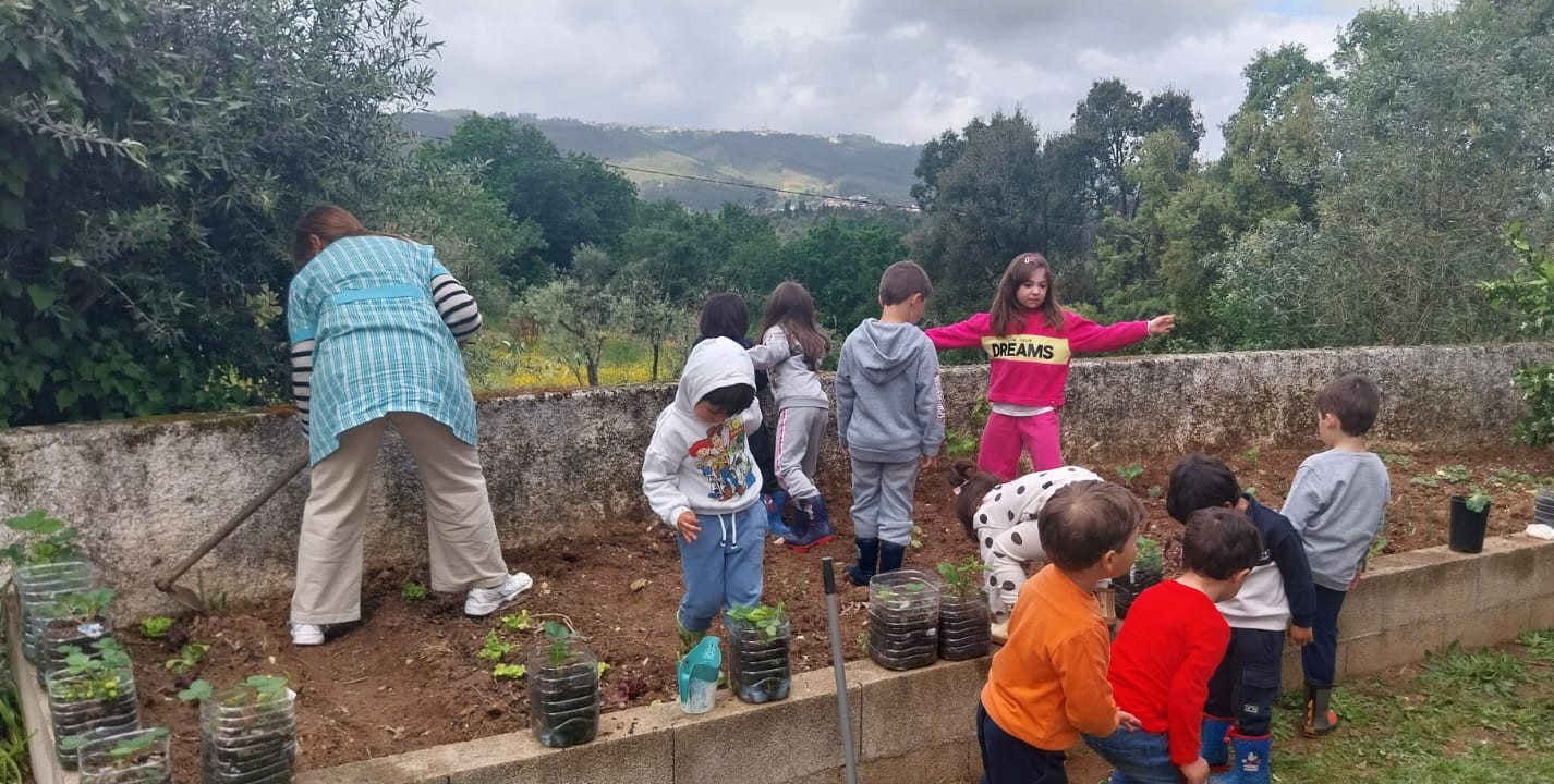 Manutenção da horta - sachar a terra.