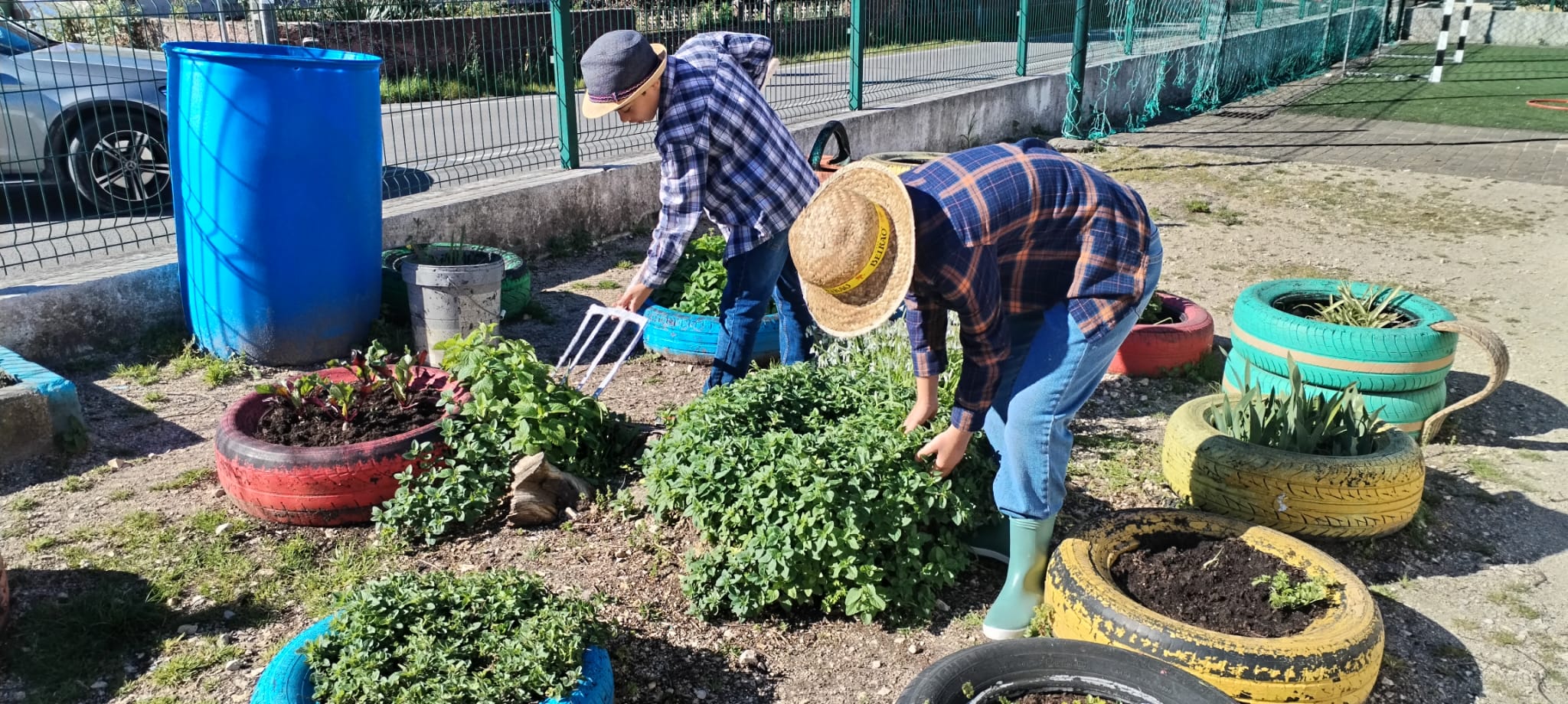 Tratamento da horta -no âmbito do Desfile da primavera- atividade de PAA - os alunos da escola da Sanguinheira trajaram de agricultores