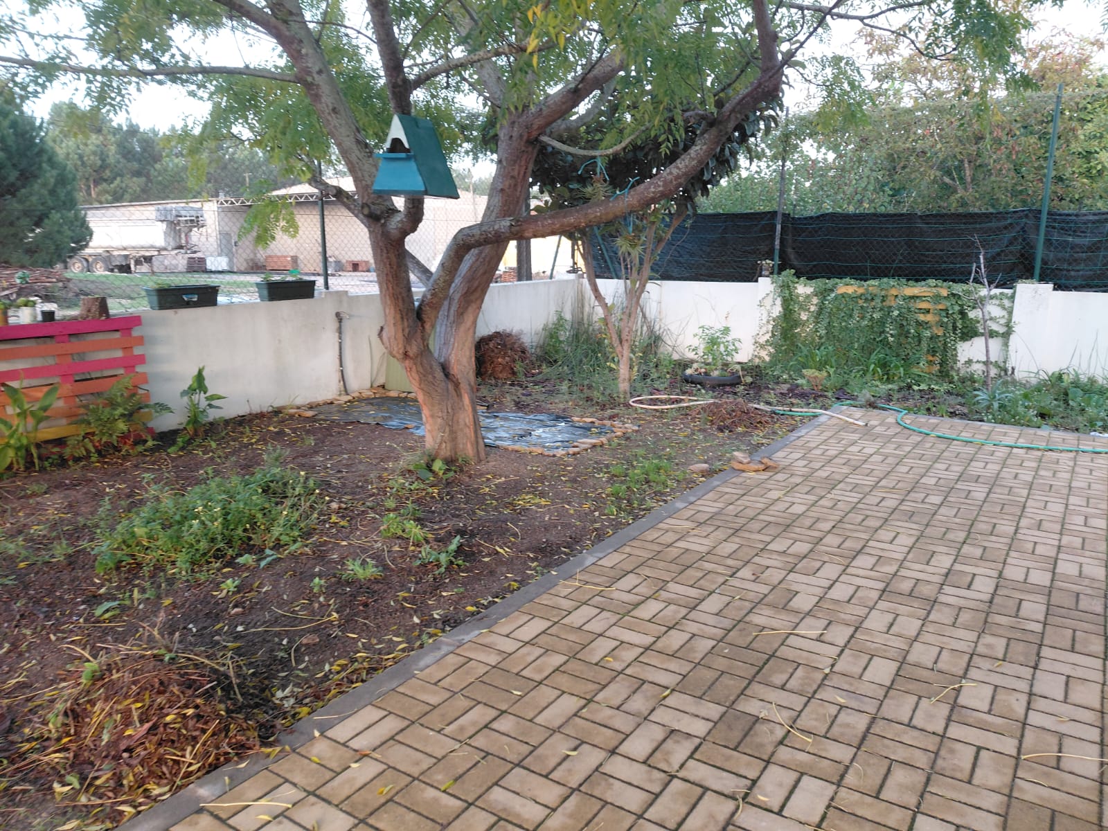 Preparação do terreno