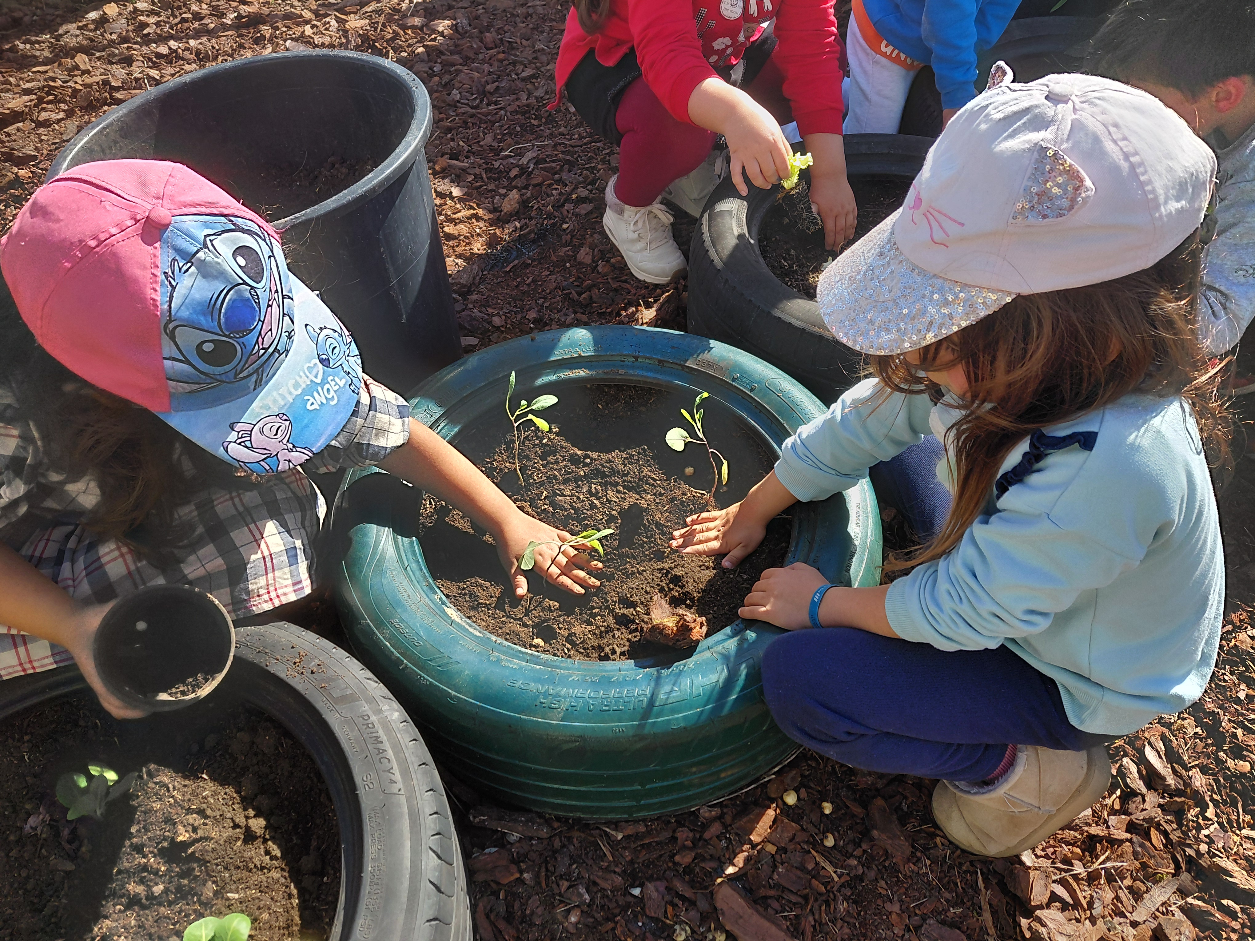 Com a terra pronta, os alunos iniciaram a plantação.