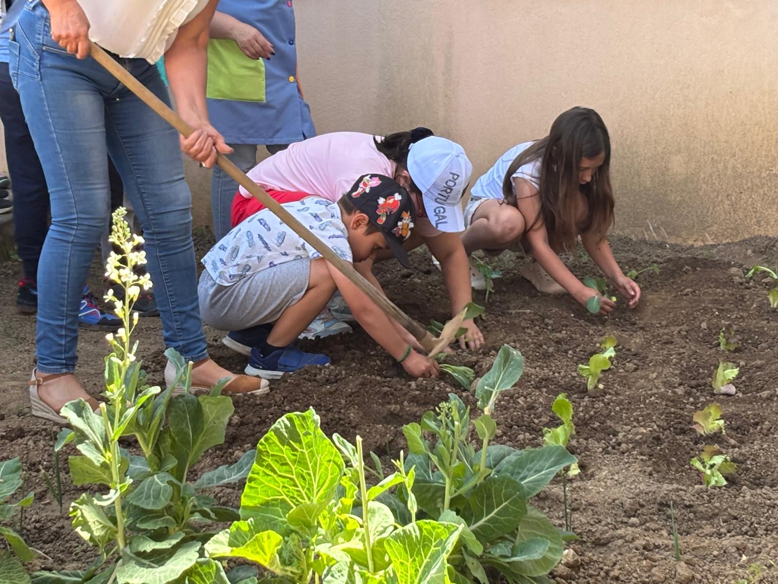 Recolhemos sementes e semeámos e plantámos