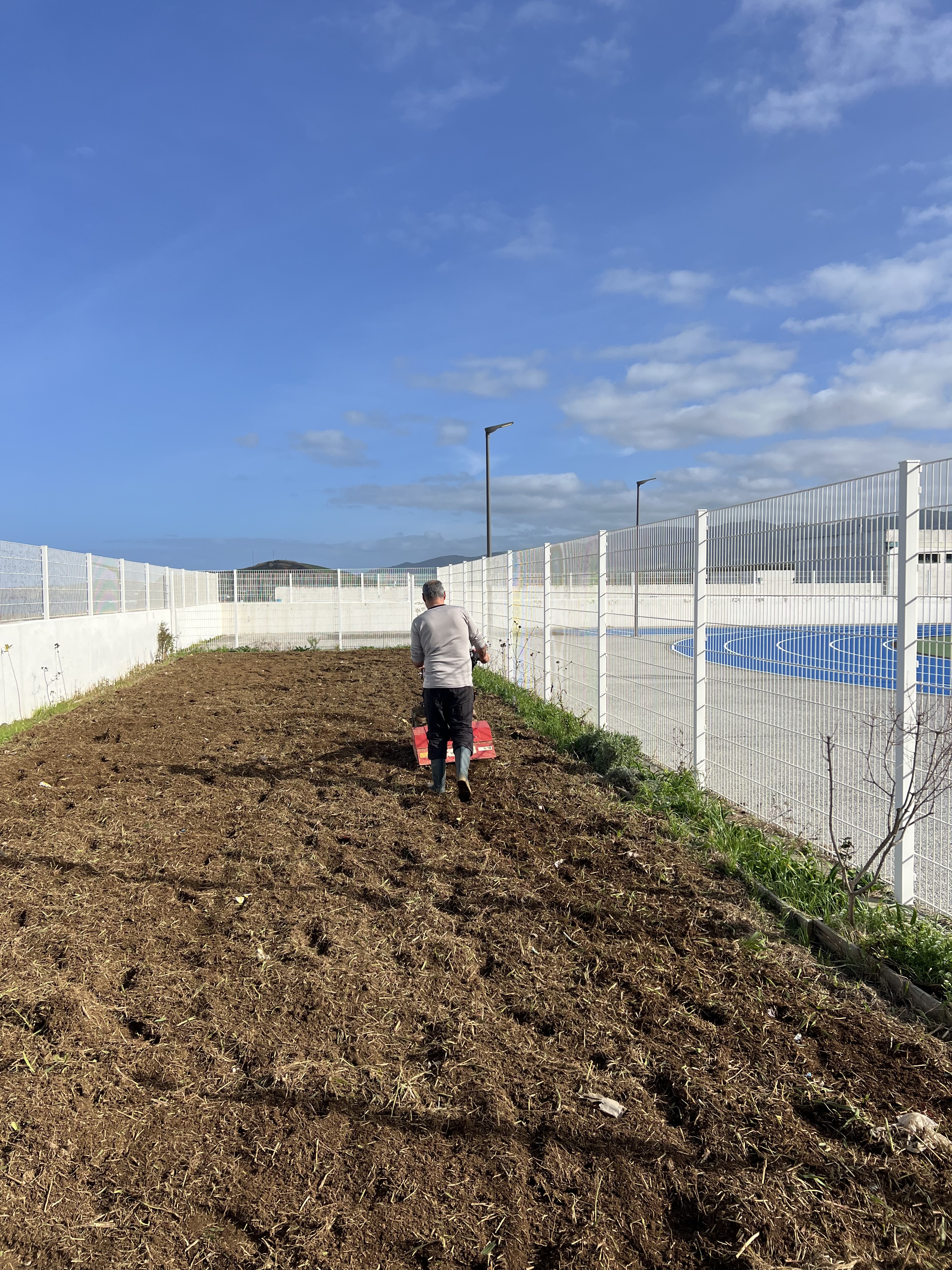 Preparação do terreno com moto-cultivador após corte das ervas bravas que dominavam toda a área.