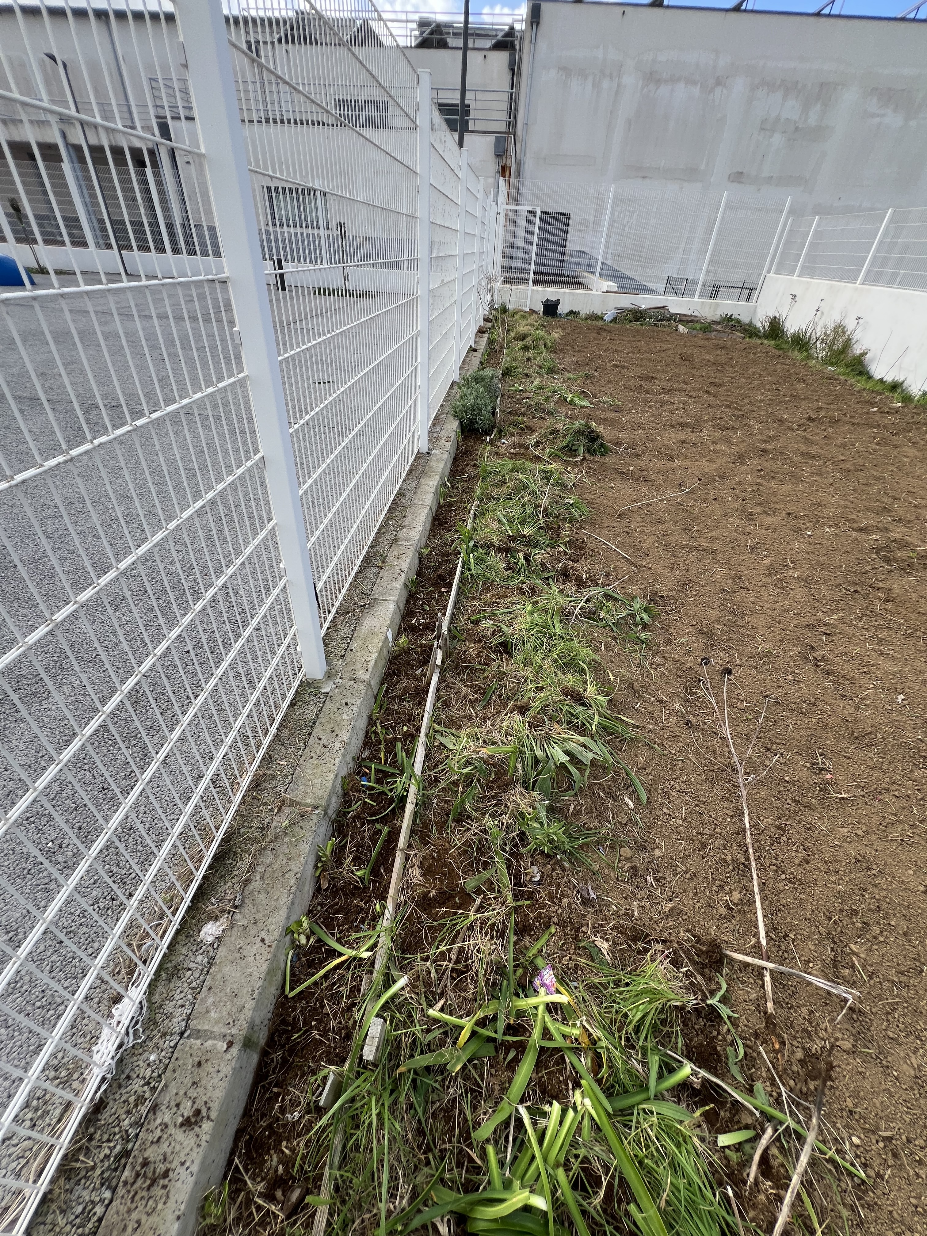 Limpeza das beiras do terreno que albergará a horta.