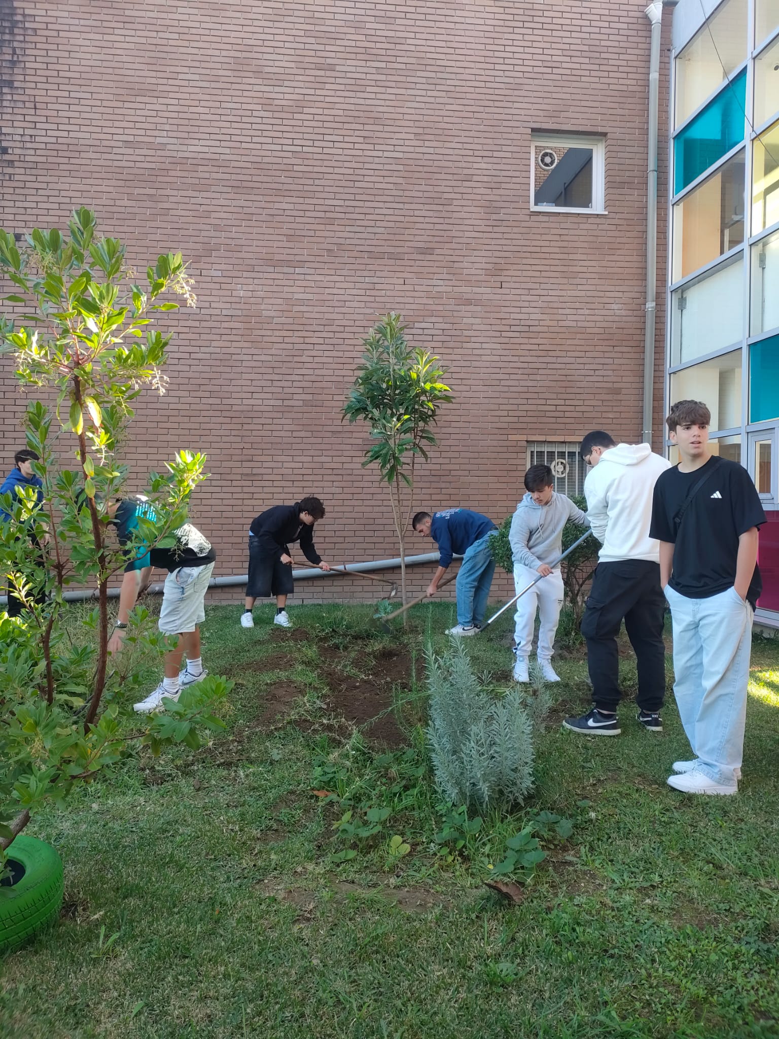 Preparação da terra