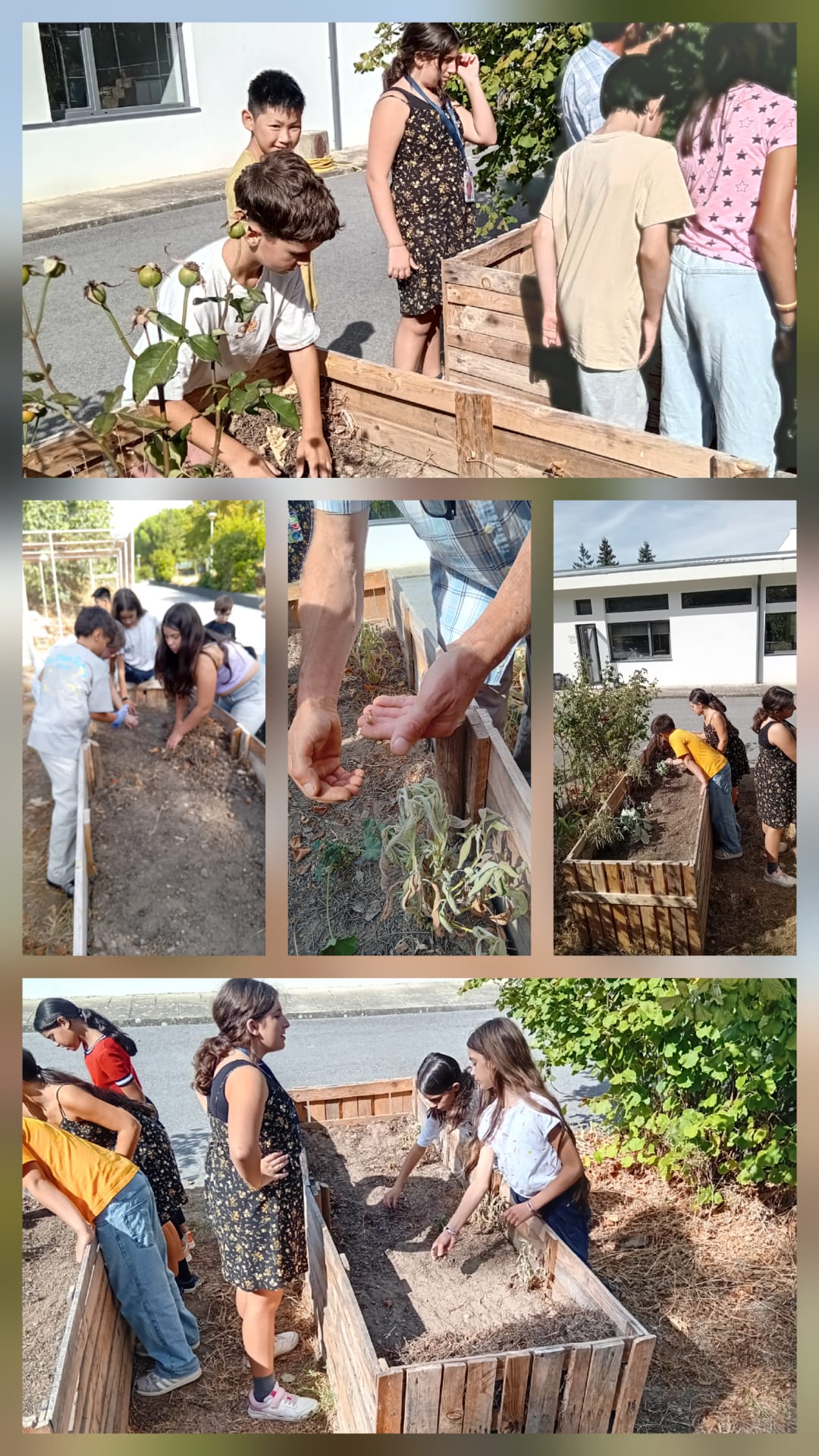 Primeira atividade nas Hortas-Bio - após remoção dos resíduos do verão, recuperámos as espécies resistentes. Removemos o solo para arejar e permitir a circulação do ar no interior dos solos e regámos as plantas resistentes do verão.