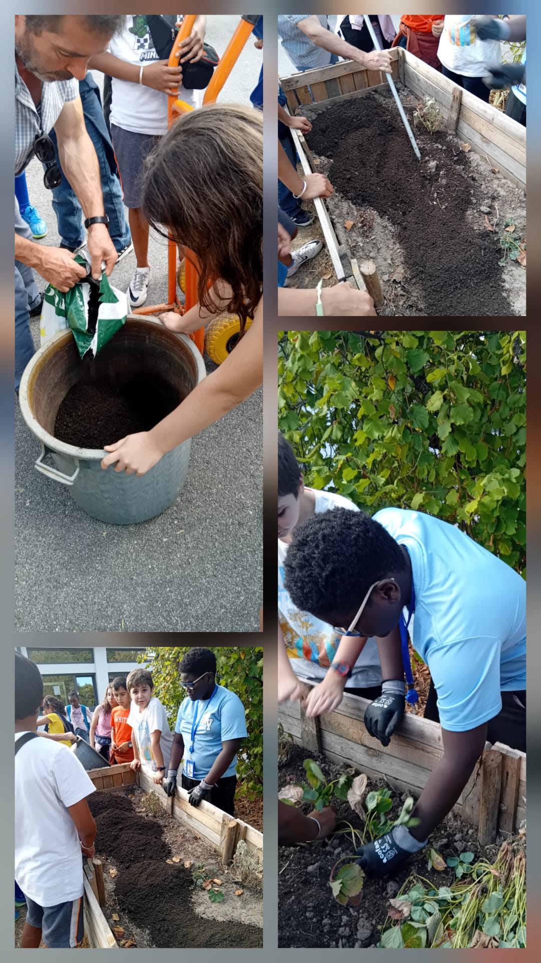 Na segunda atividade nas Hortas-Bio adicionámos solo fértil às 3 hortas. Procedemos à sacha do solo e adicionámos solo mais fértil.