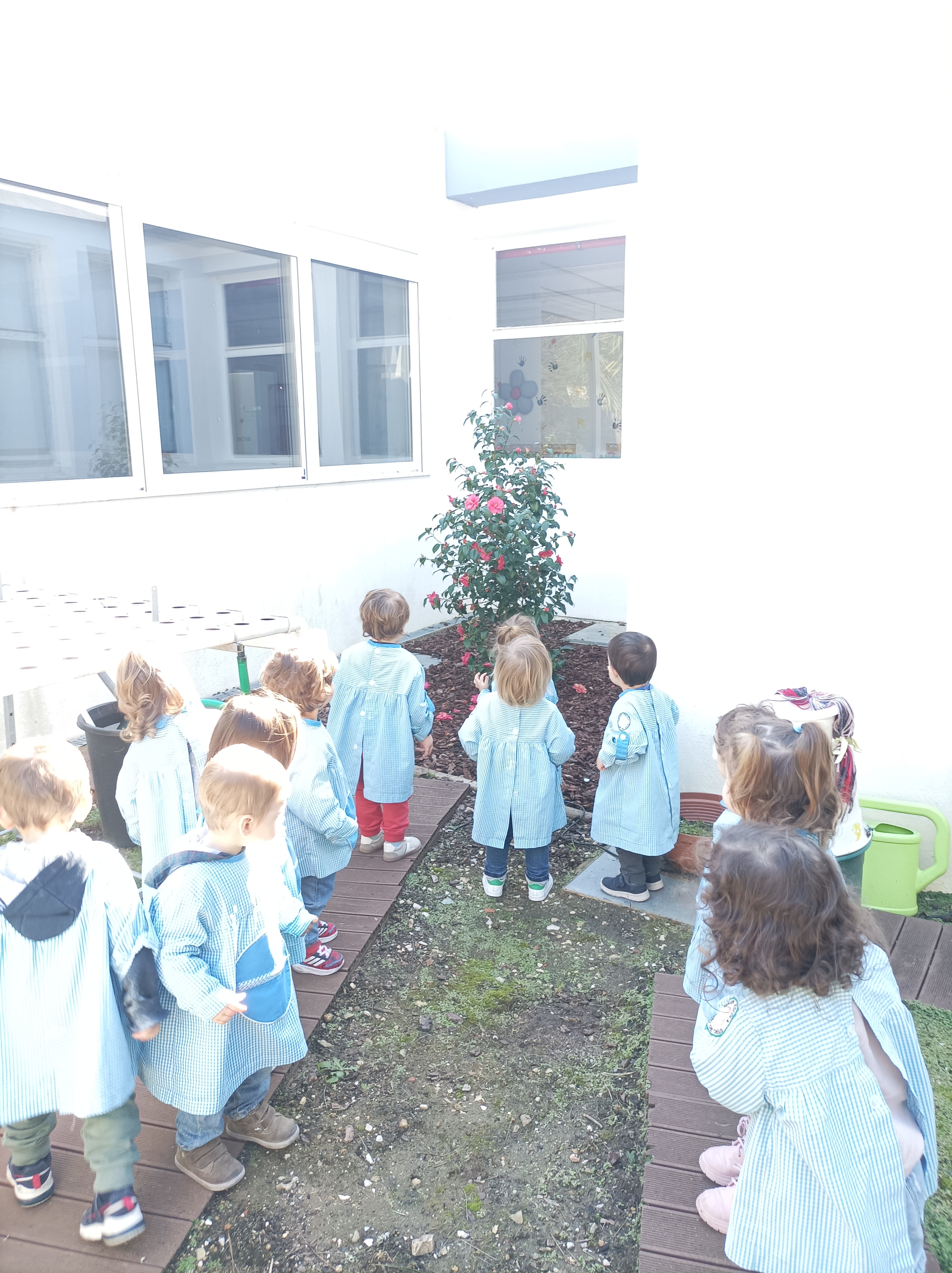 A visitar a horta que iremos trabalhar