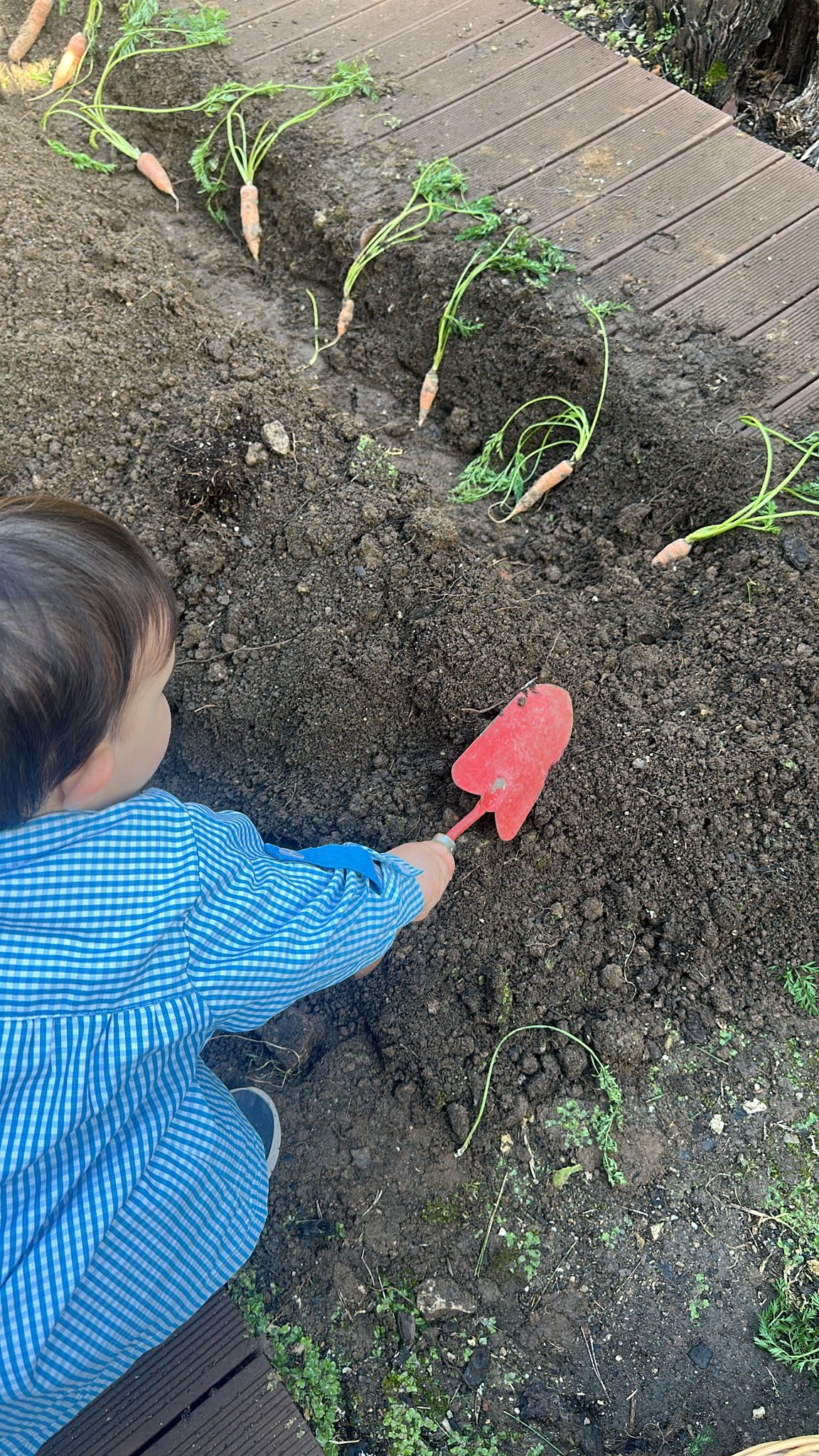 Cada criança teve a sua oportunidade e experiência.