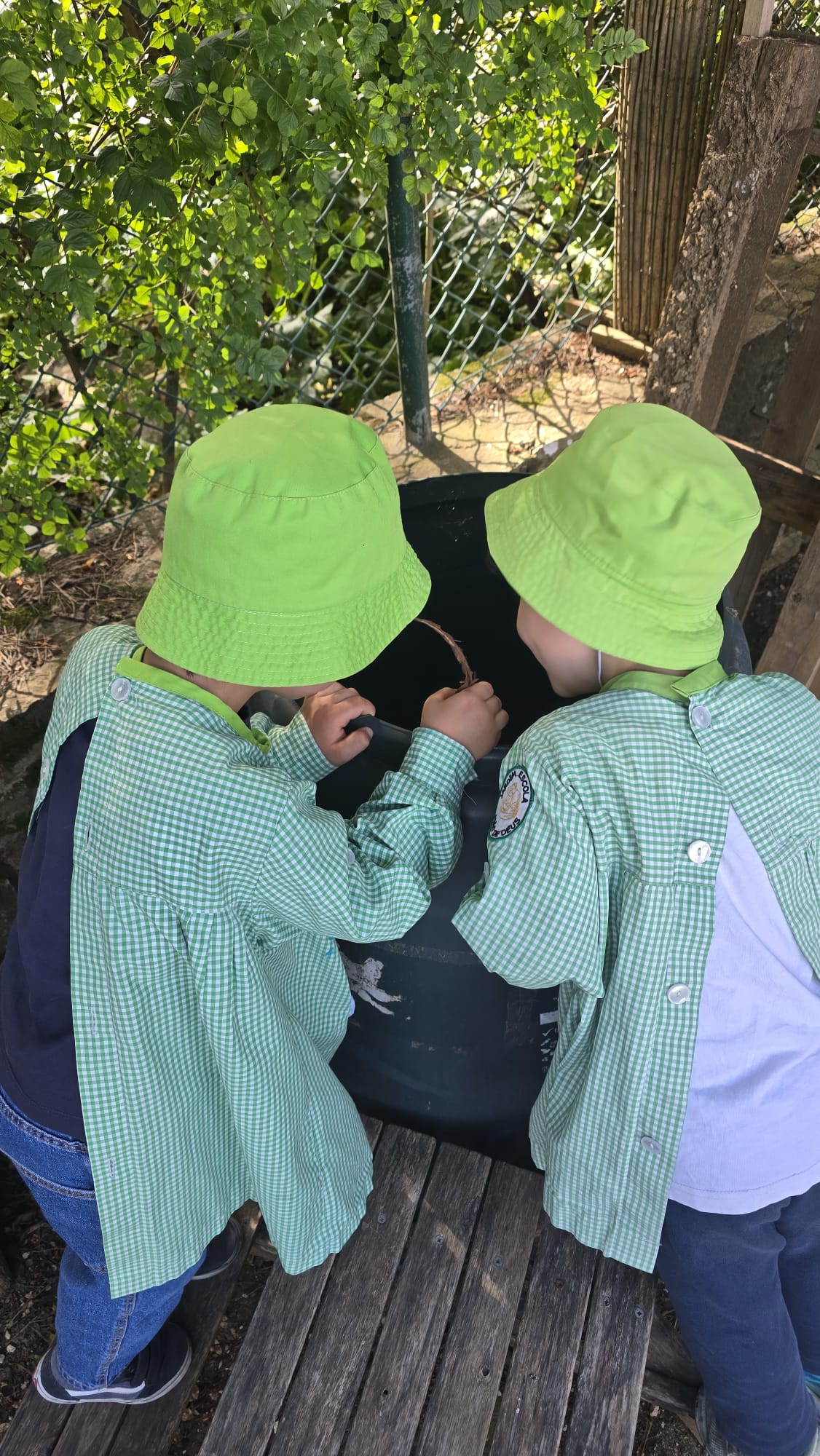 A espreitar e a fazer camada de folhagem no nosso compostor.