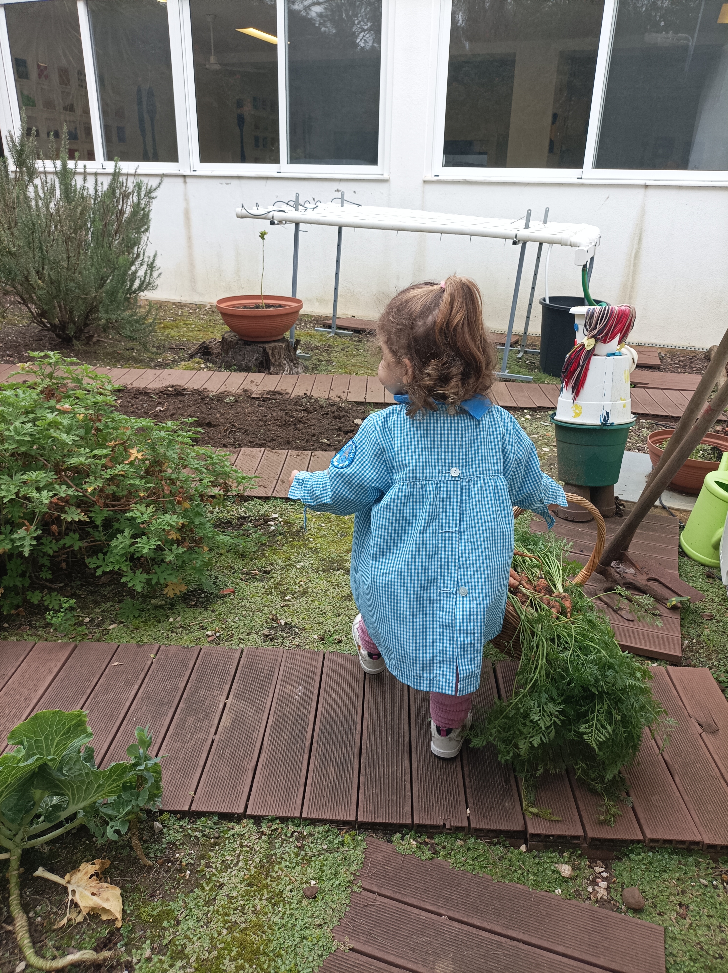 Vamos ao trabalho. a nossa horta terá um canteiro de cenouras
