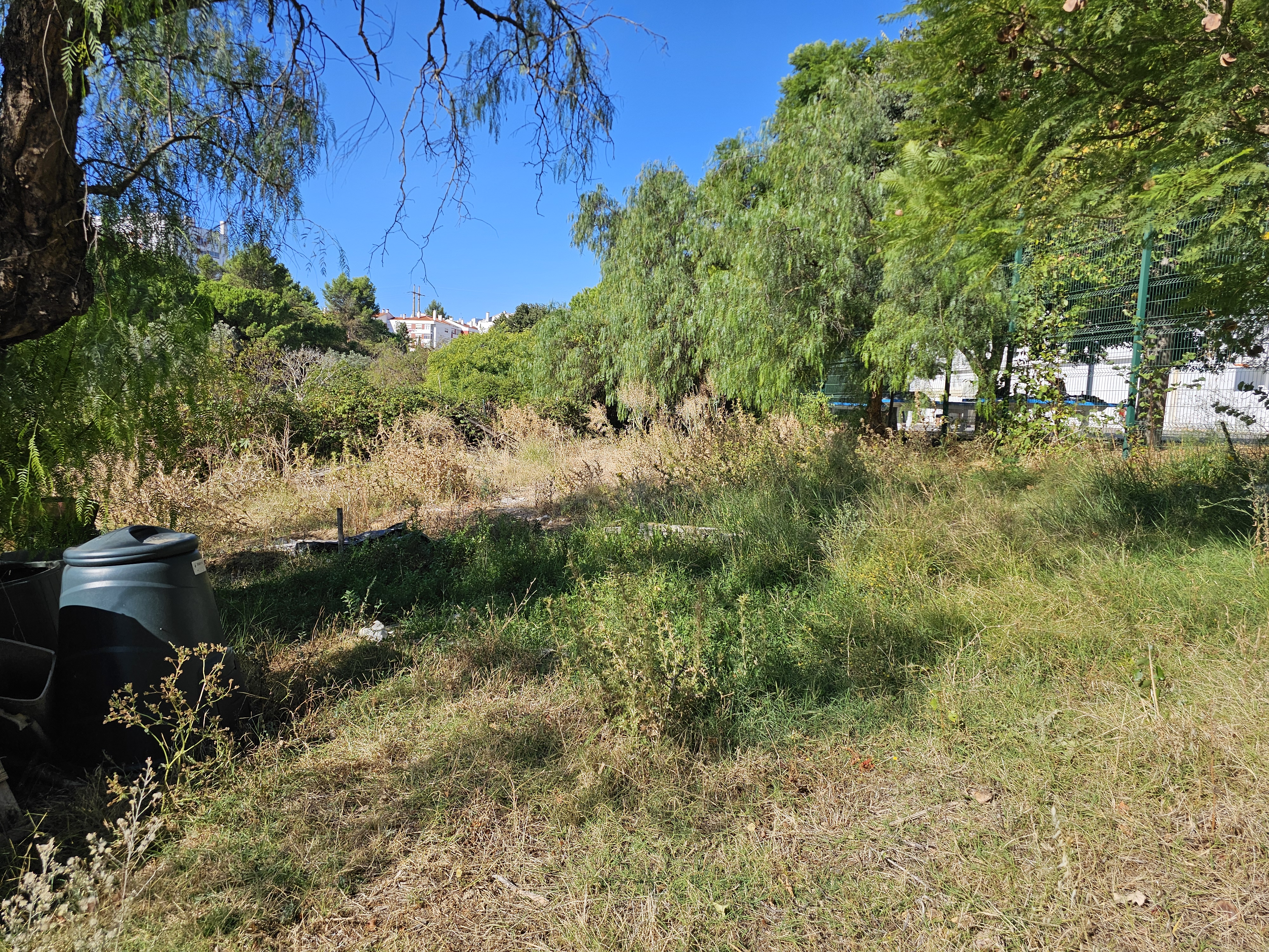 Escola DMVCB-Horta Inverno 3