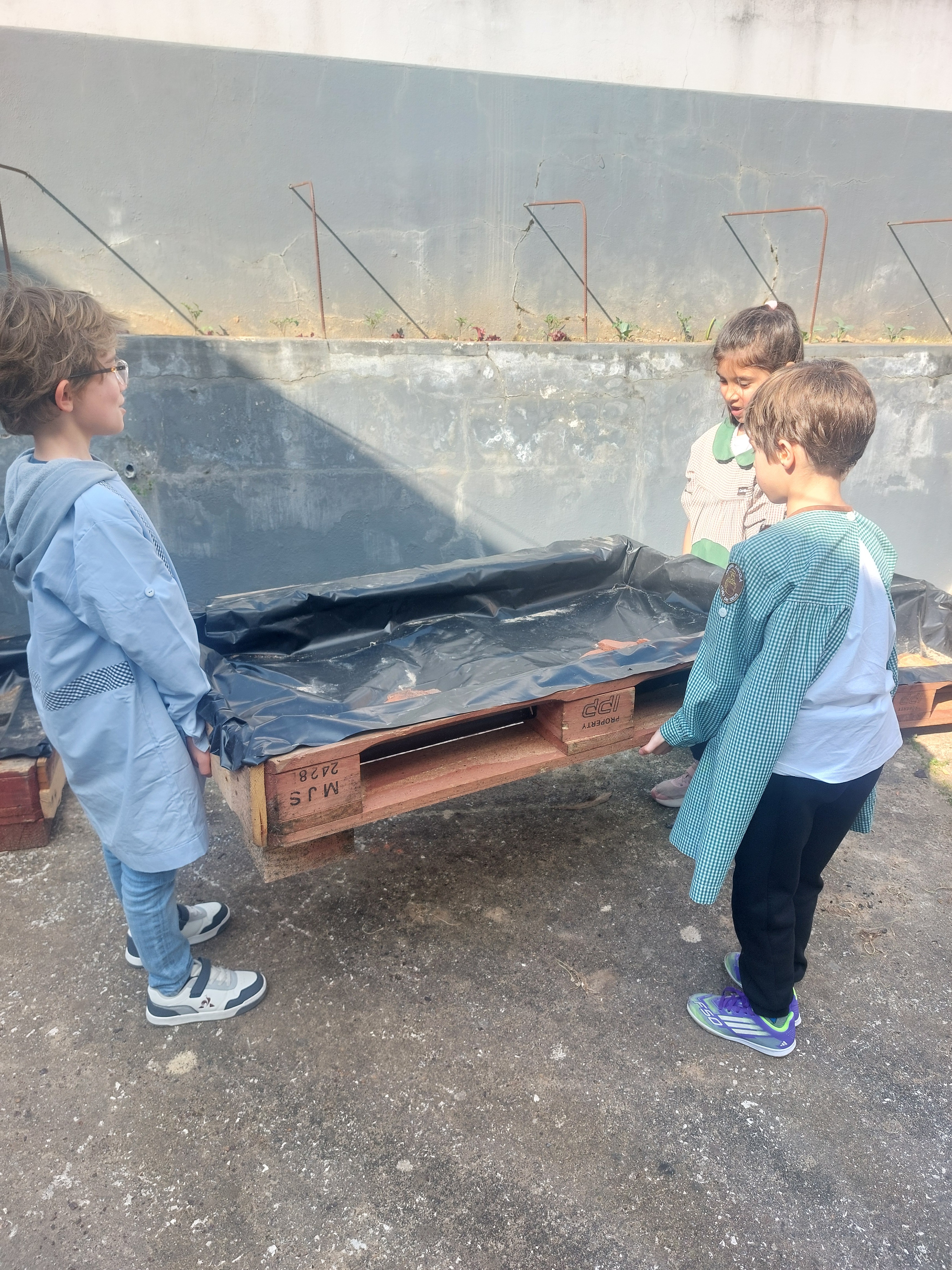 Transporte das caixas paletes/horta