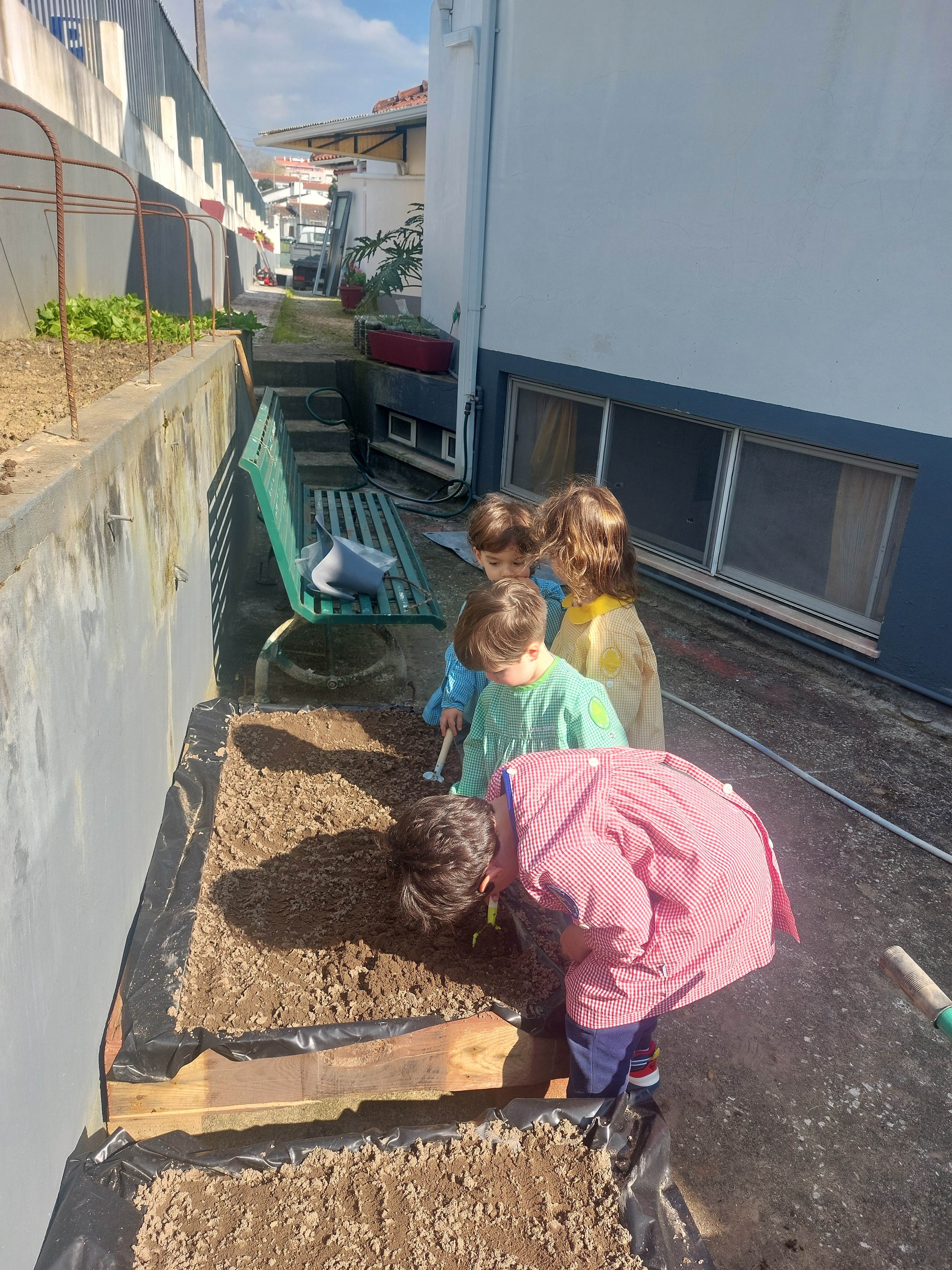 Alisamento da terra nas caixas paletes/horta