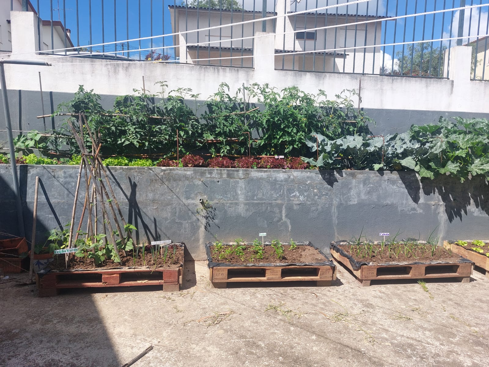 A nossa horta biológica