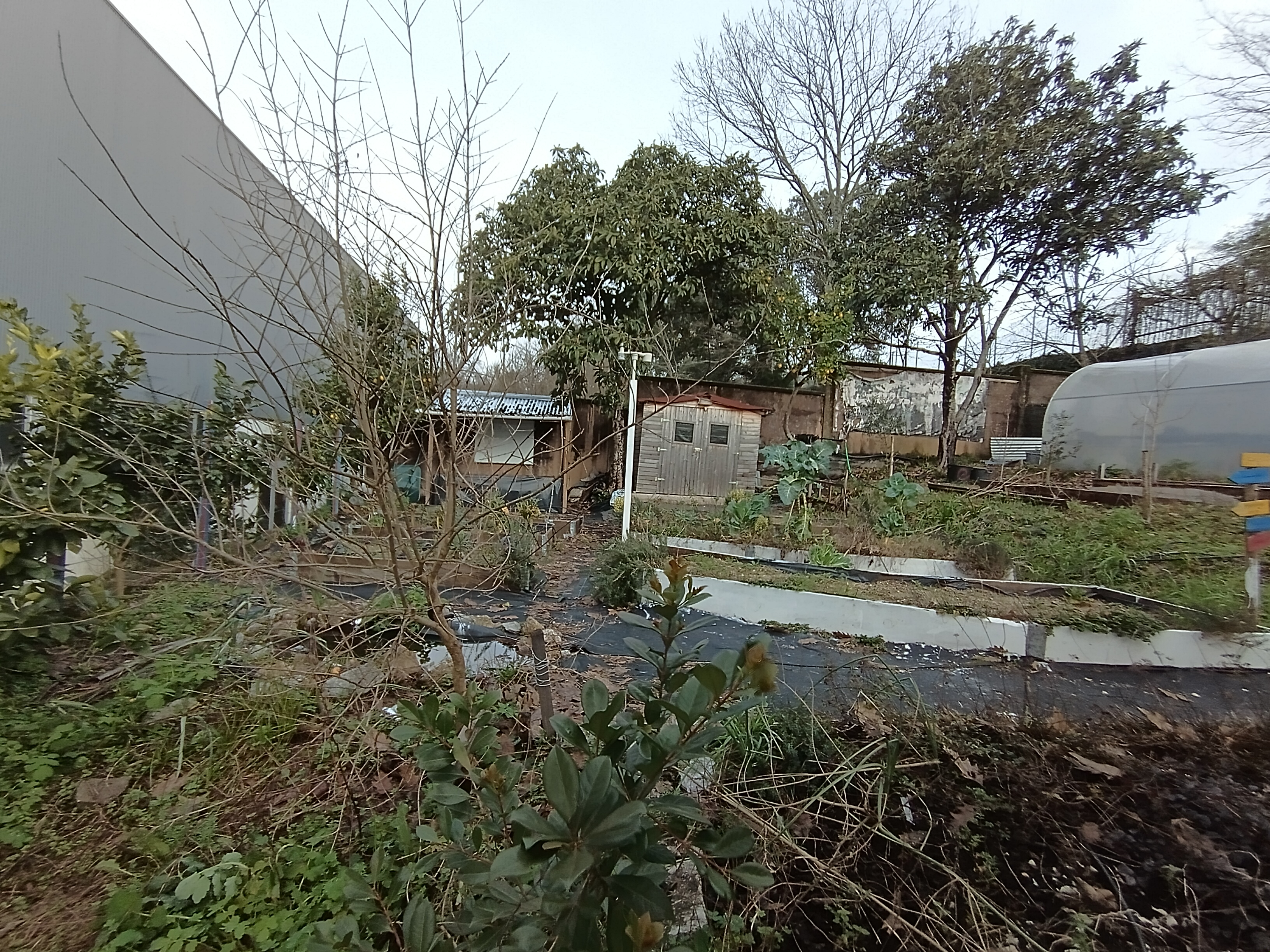 HORTA, CANTEIROS E EQUIPAMENTOS DE APOIO